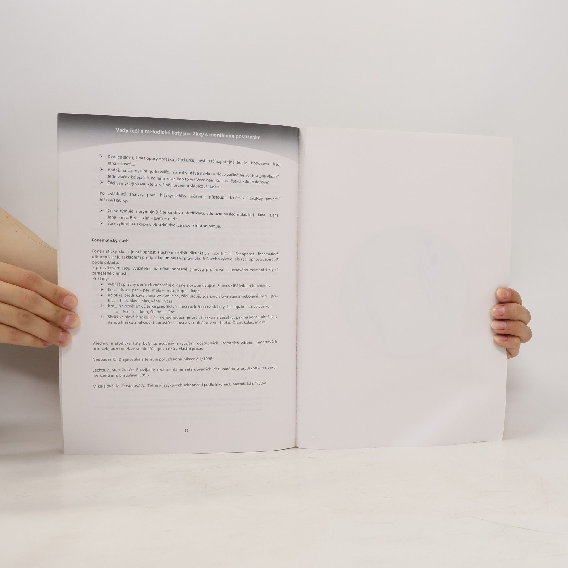 Autorenkollektiv Vady řeči a metodické listy pro žáky s mentálním postižením