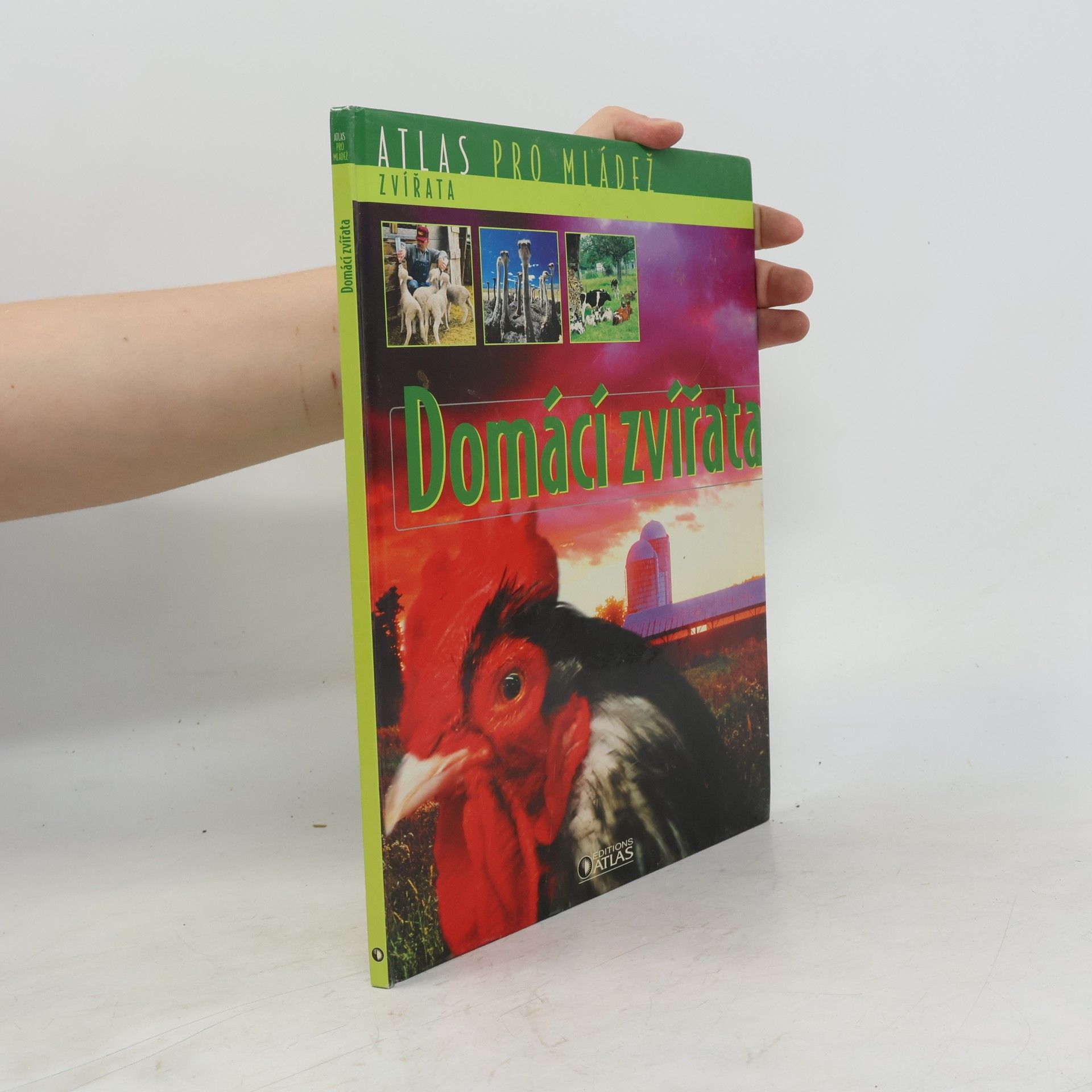 Autores varios Domácí zvířata