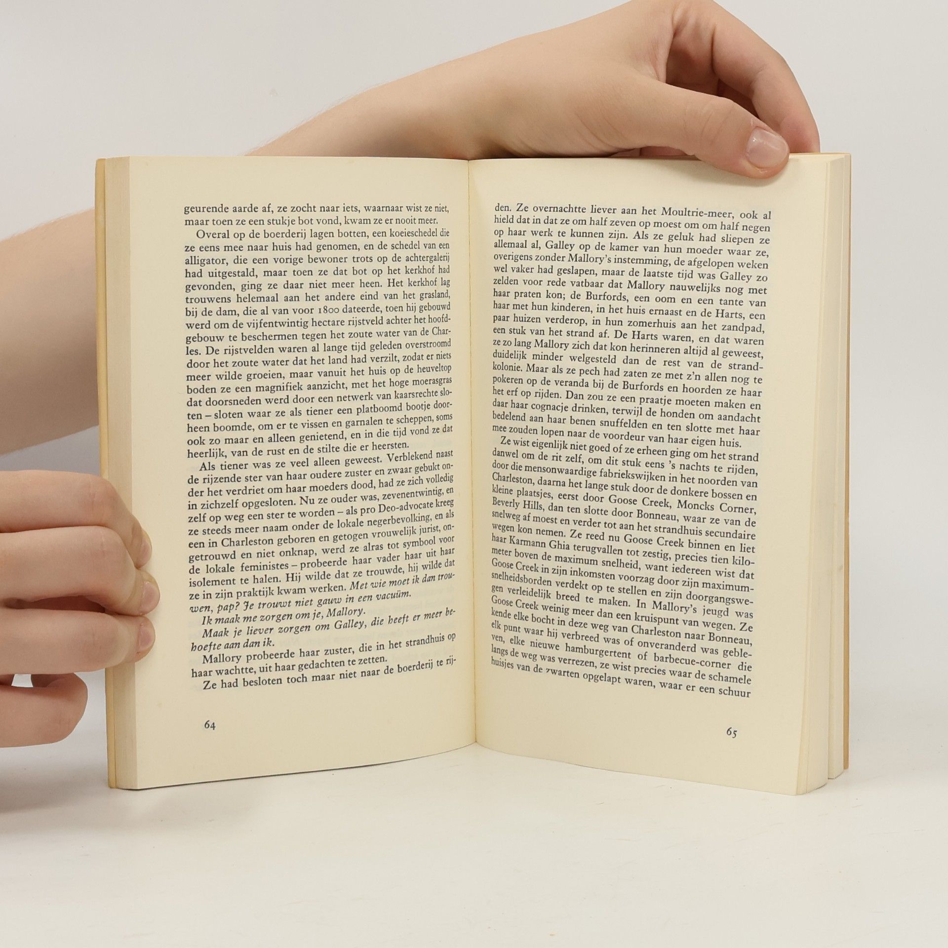 Blanche Mccrary Boyd Treuren om de dood der magie