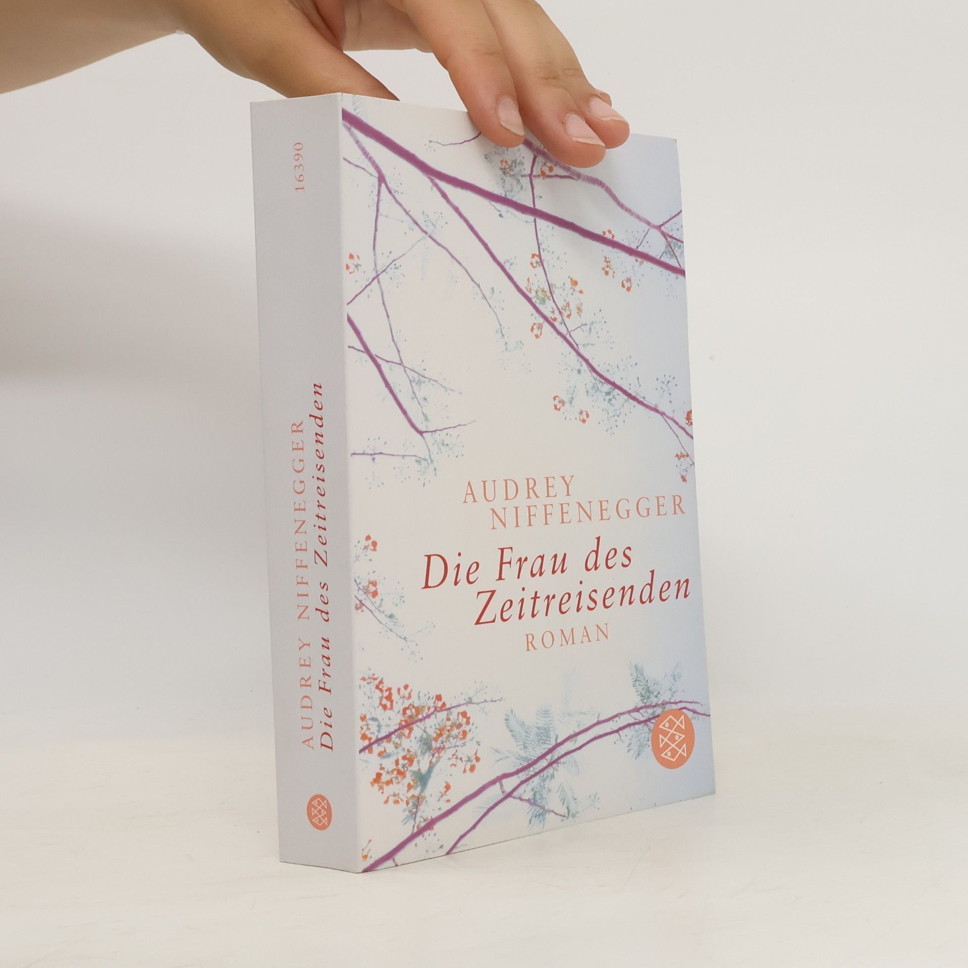 Audrey Niffenegger Die Frau des Zeitreisenden