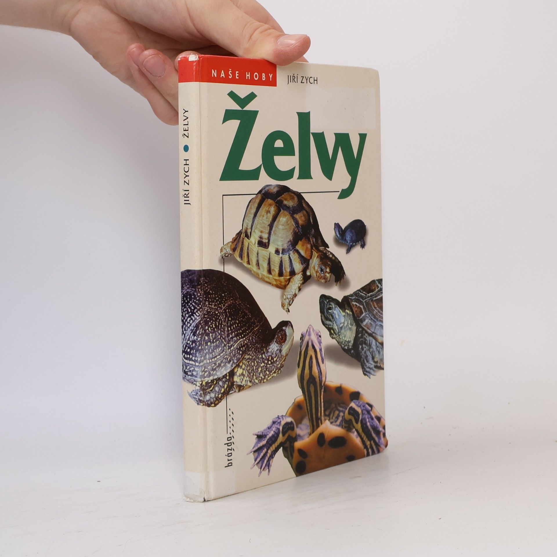 Jiří Zych Želvy
