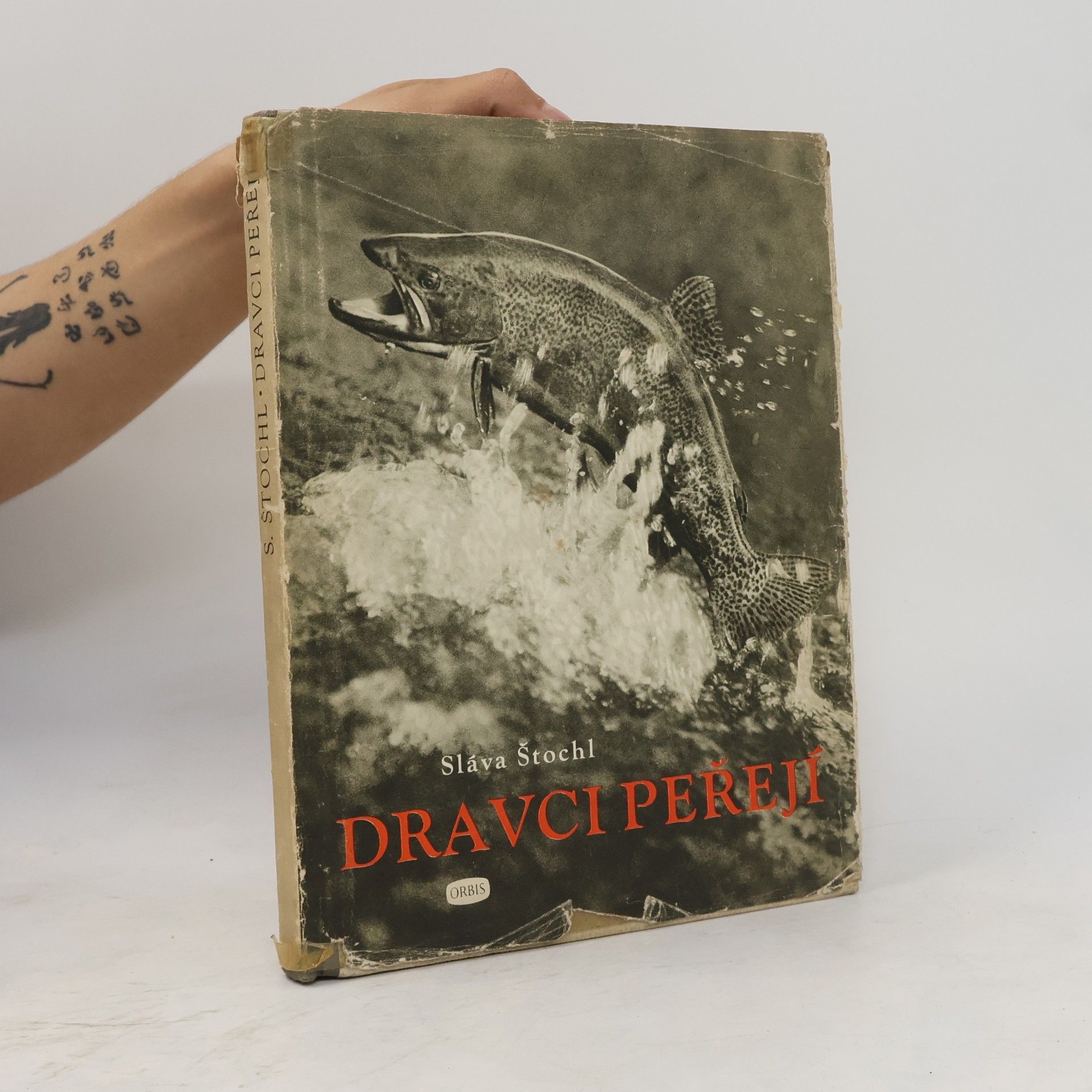 Dravci peřejí