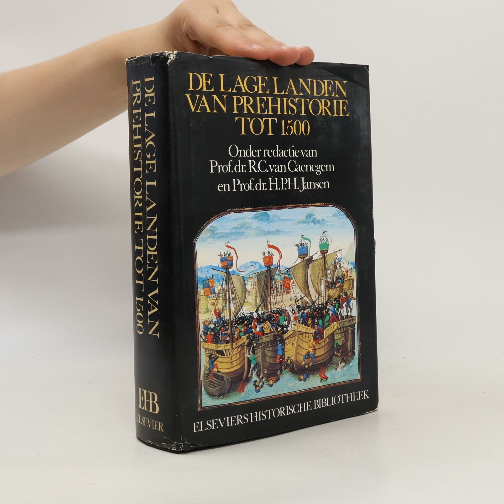 Prof.dr. R.C. van Caenegem Elseviers historische bibliotheek: De Lage Landen van prehistorie tot 1500