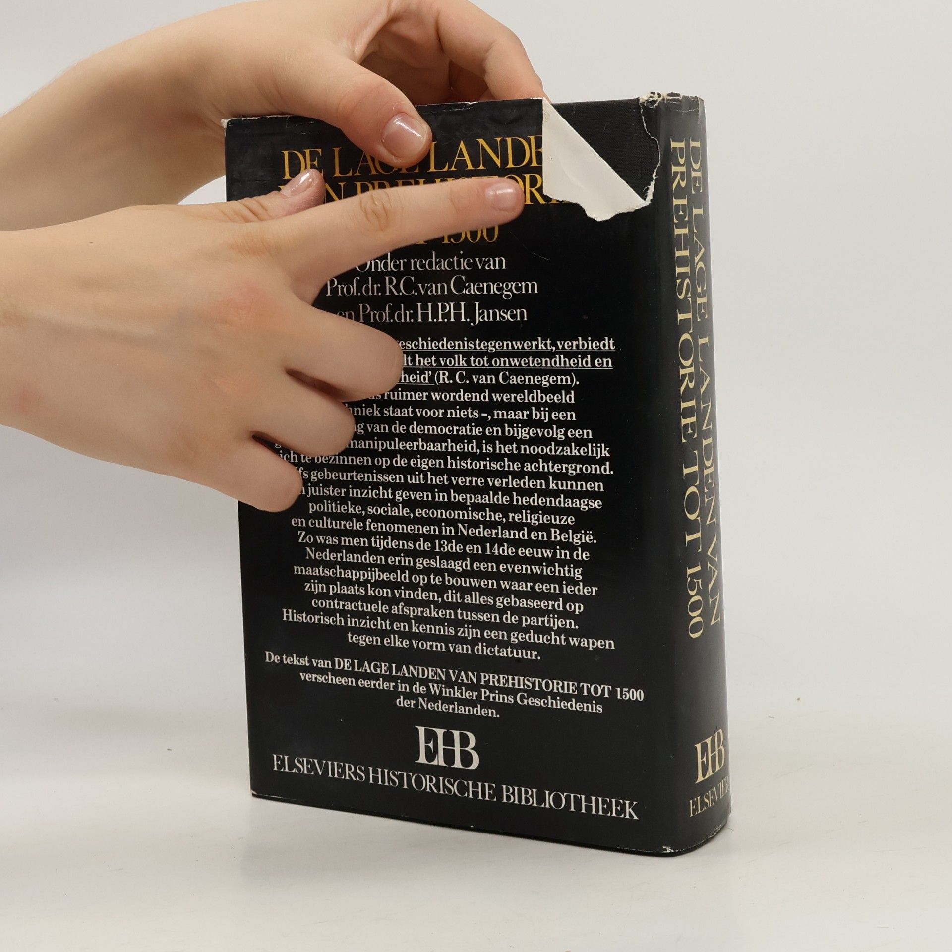 Prof.dr. R.C. van Caenegem Elseviers historische bibliotheek: De Lage Landen van prehistorie tot 1500