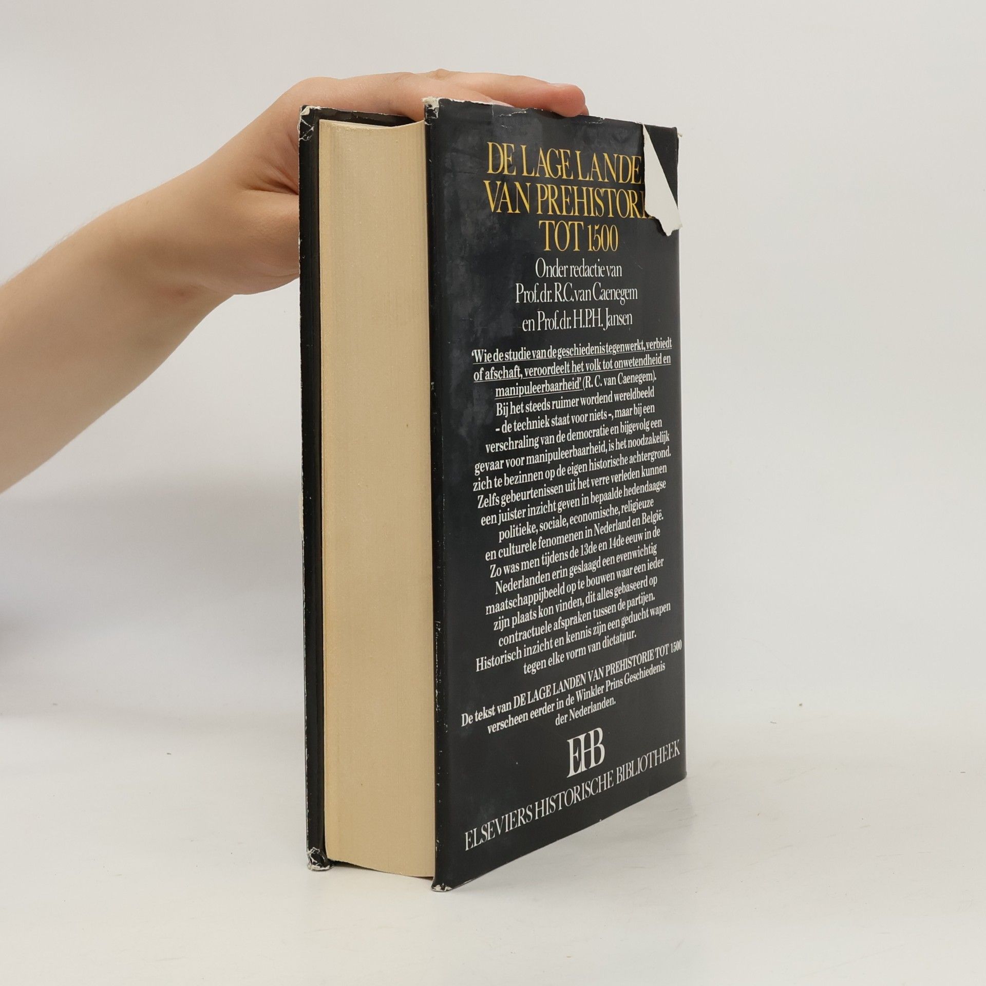 Prof.dr. R.C. van Caenegem Elseviers historische bibliotheek: De Lage Landen van prehistorie tot 1500