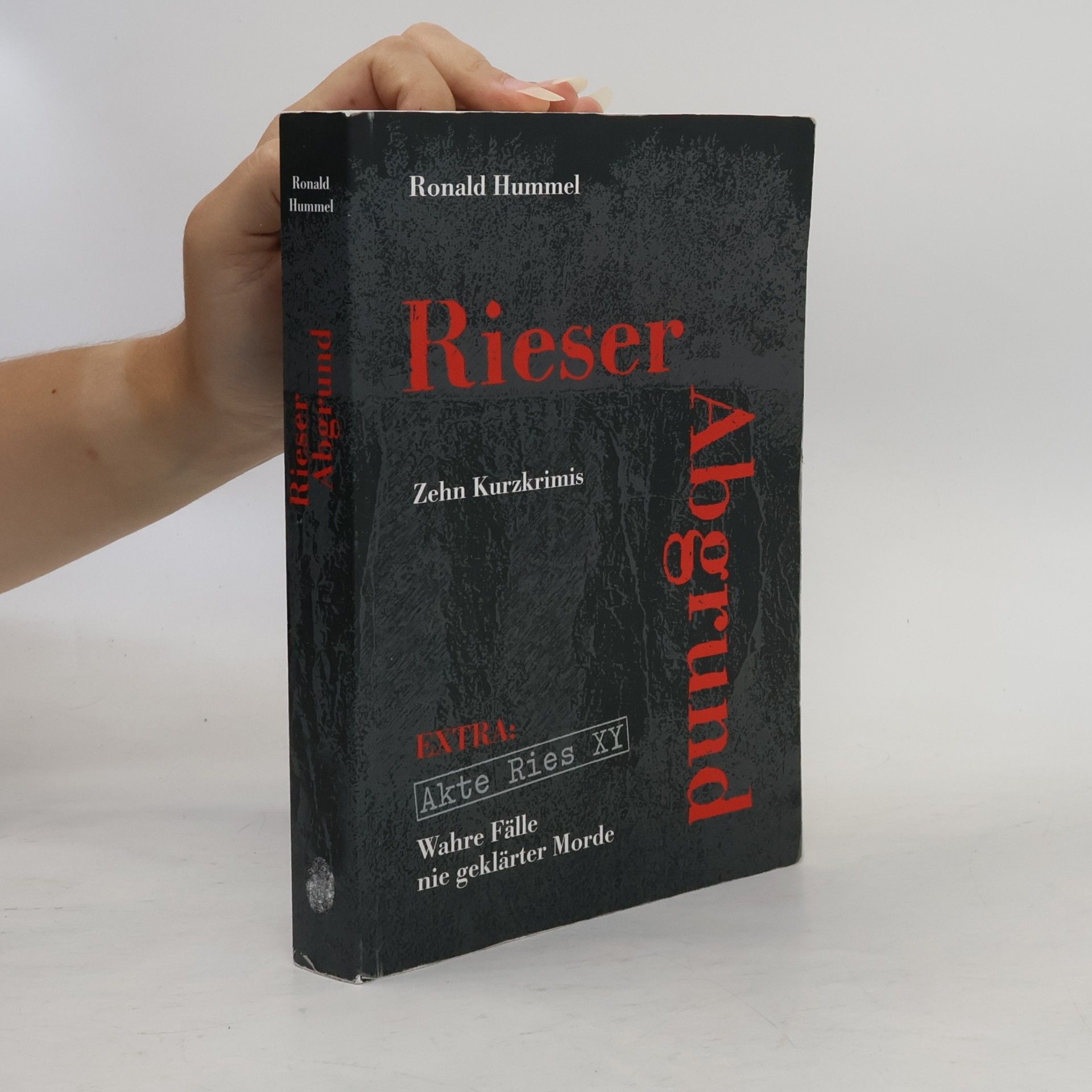 Ronald Hummel Rieser Abgrund