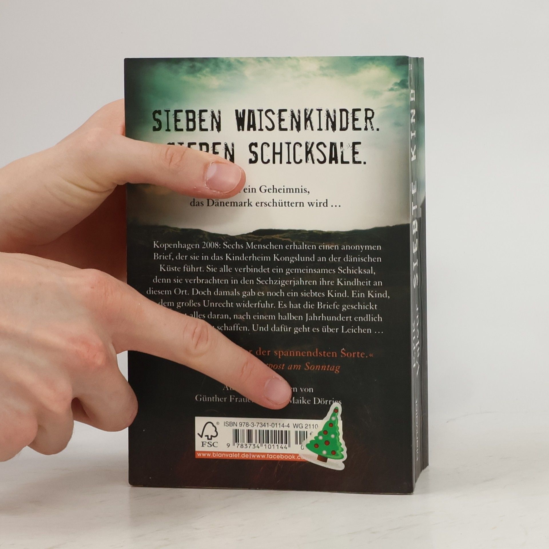 Erik Valeur Das siebte Kind