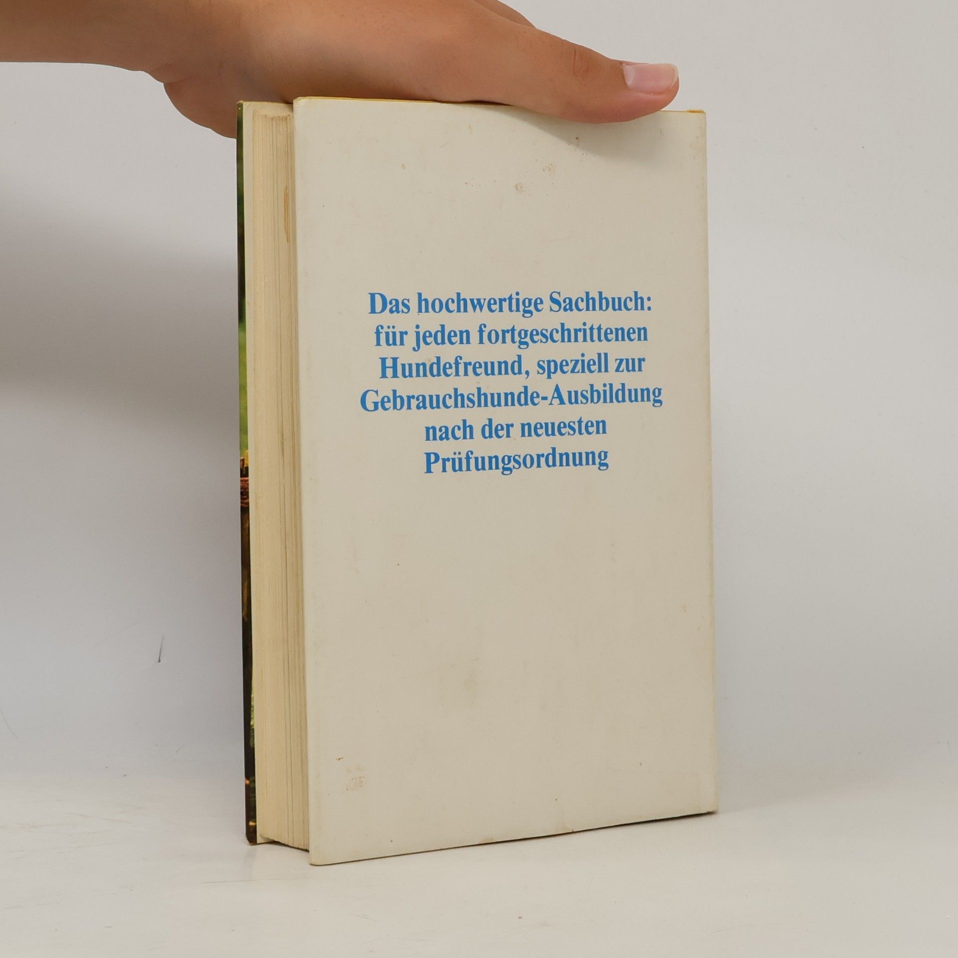 Urs Ochsenbein Der neue Weg der Hundeausbildung