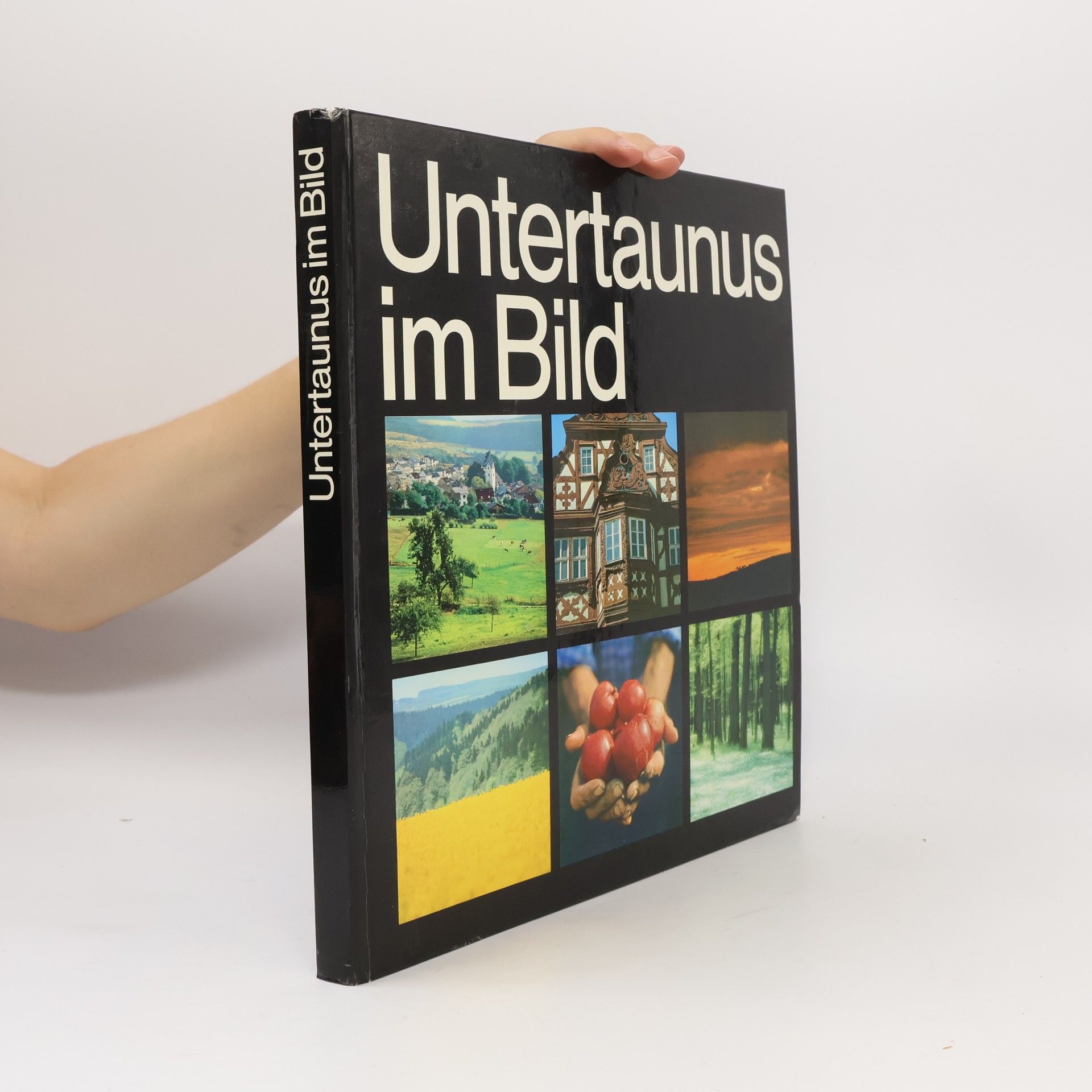 Collectif d'auteurs Untertaunus im Bild