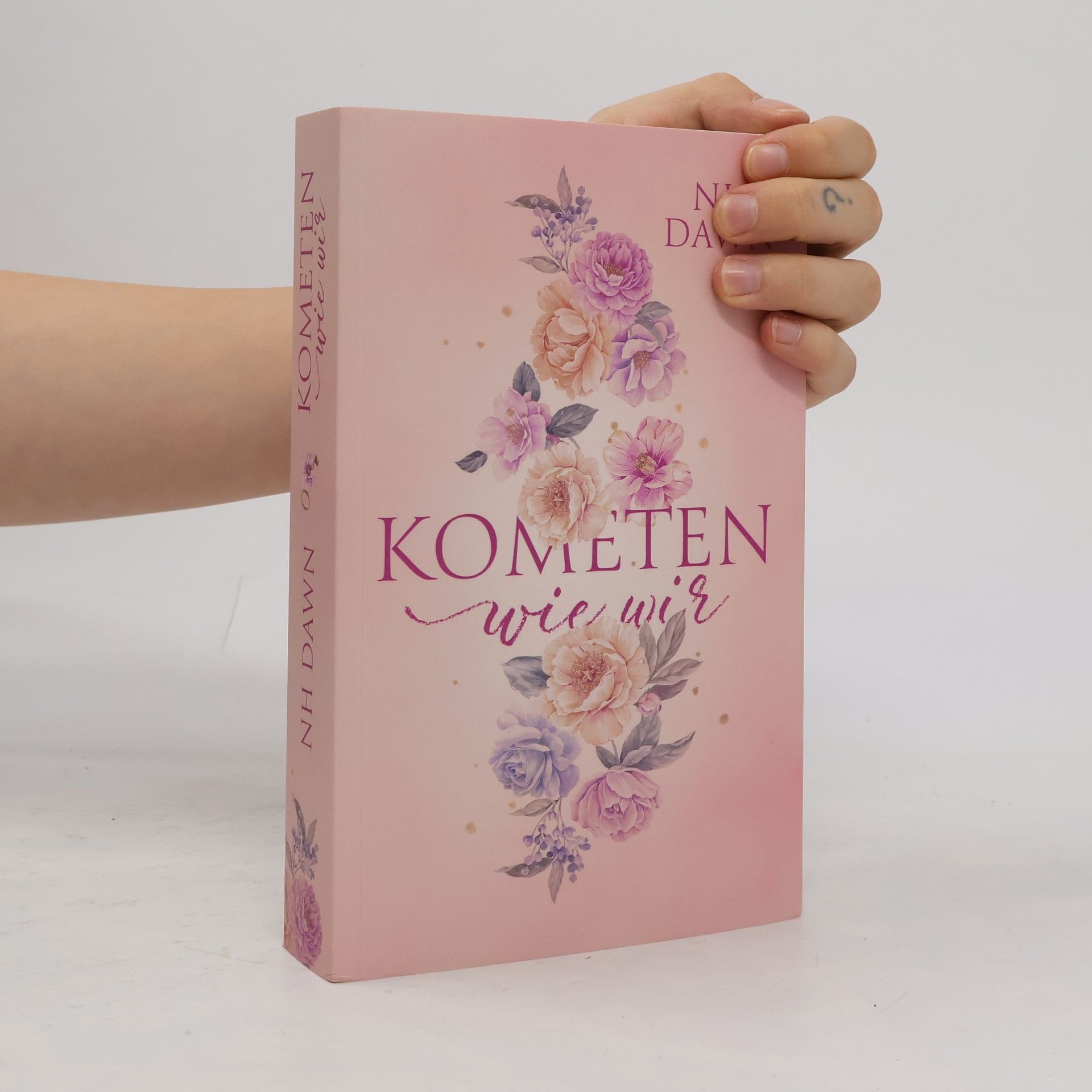 NH Dawn Kometen wie wir: Sammelband