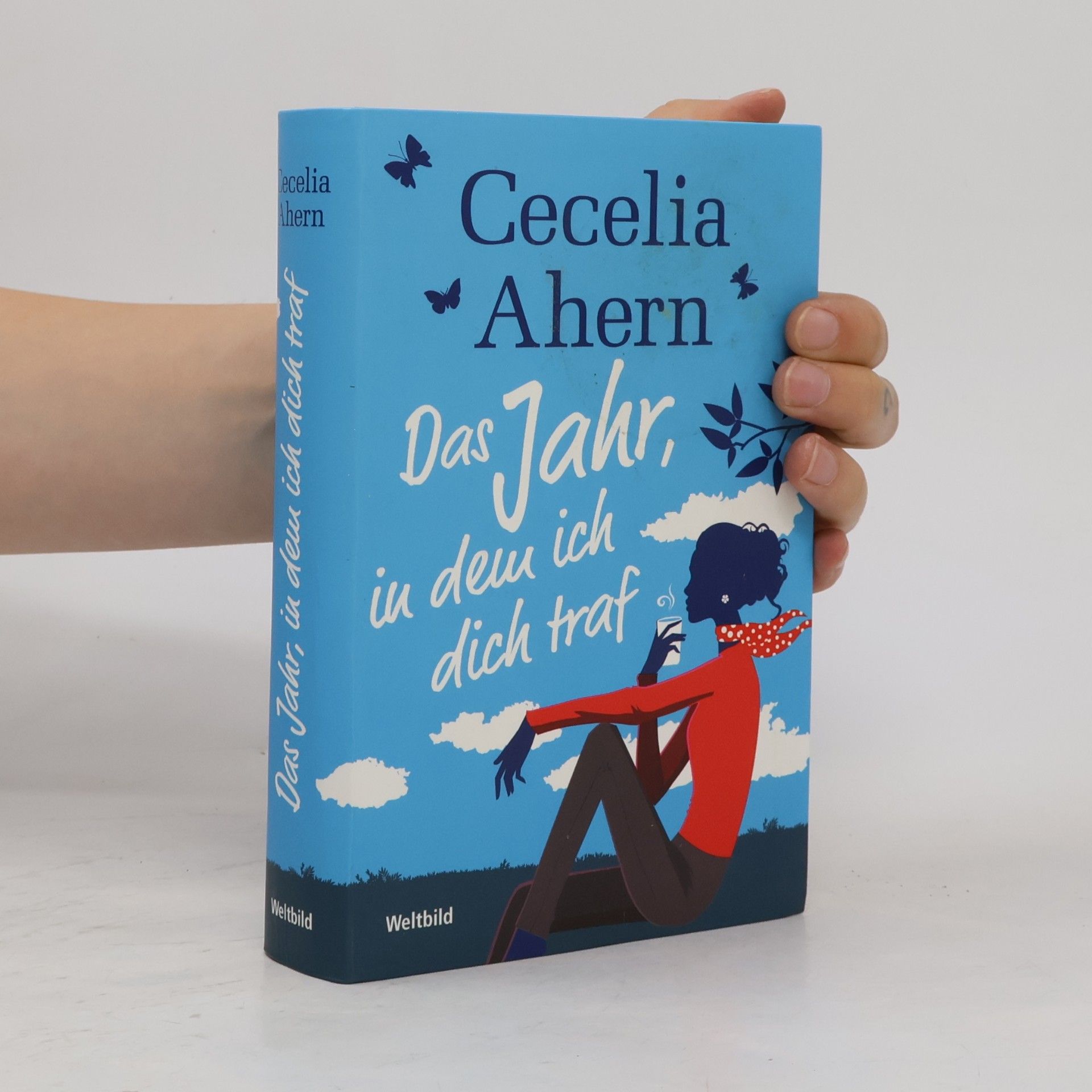Cecelia Ahern Das Jahr, in dem ich dich traf