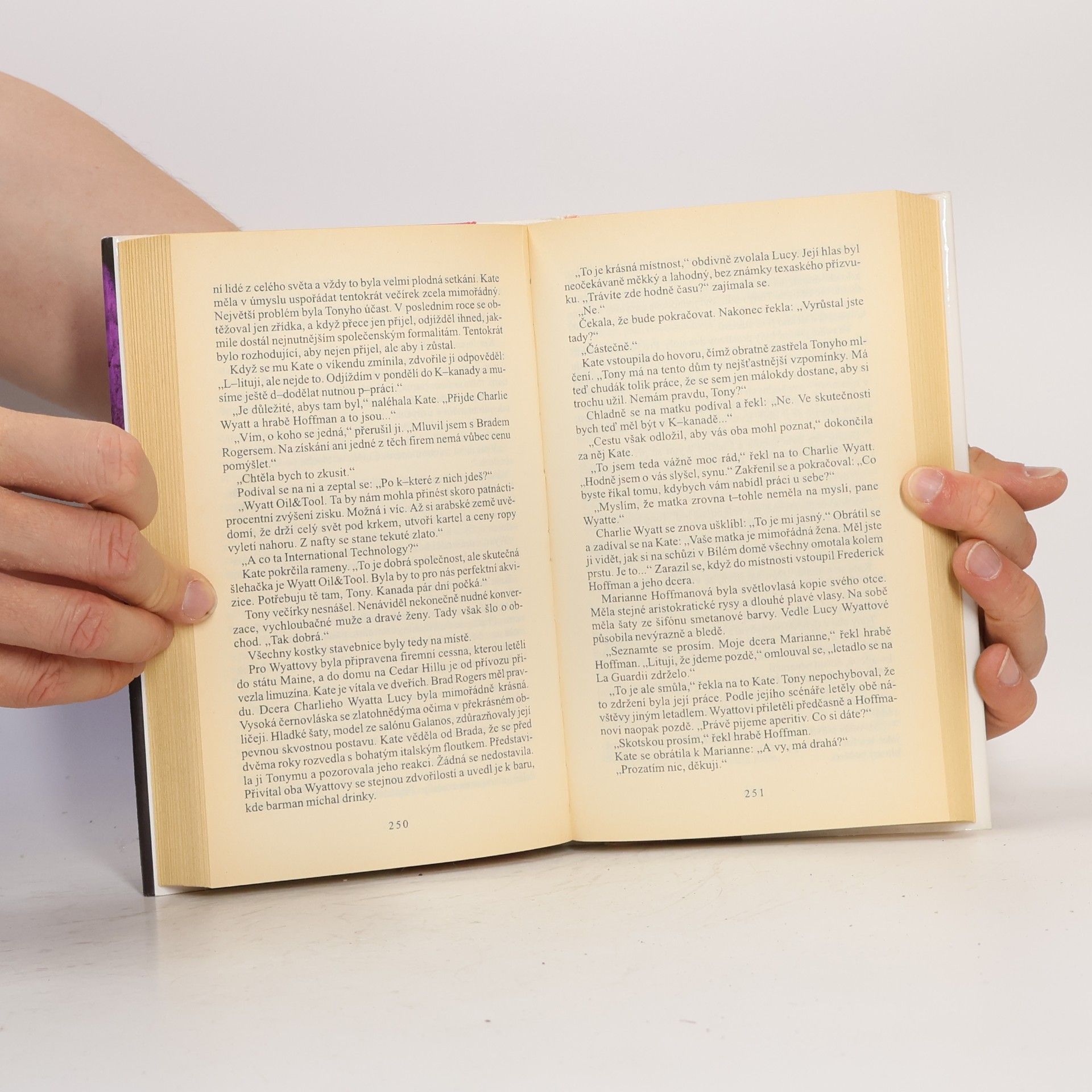 Sidney Sheldon Mistrovská hra
