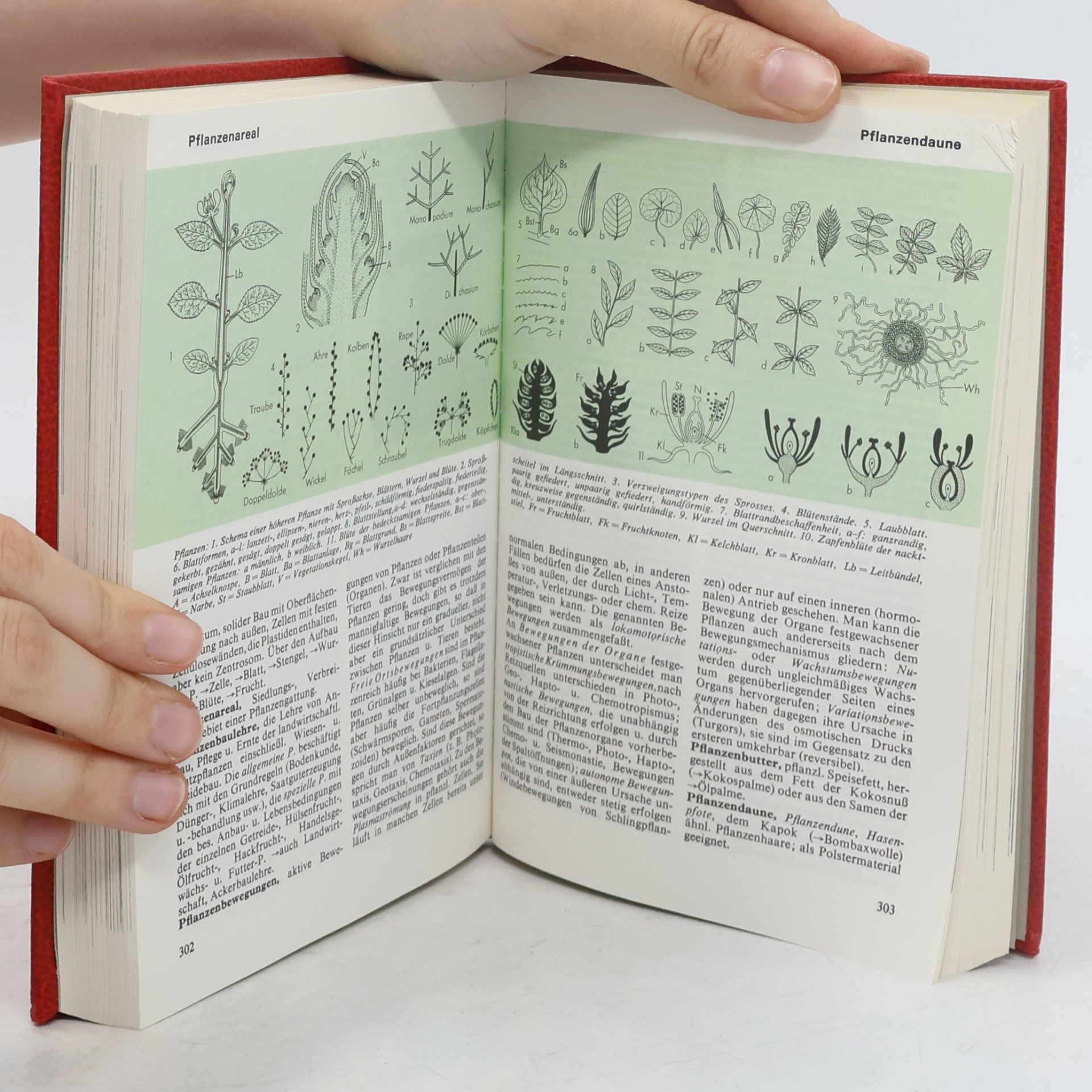 Collectif d'auteurs Das moderne Lexikon 14. Ort-Polu
