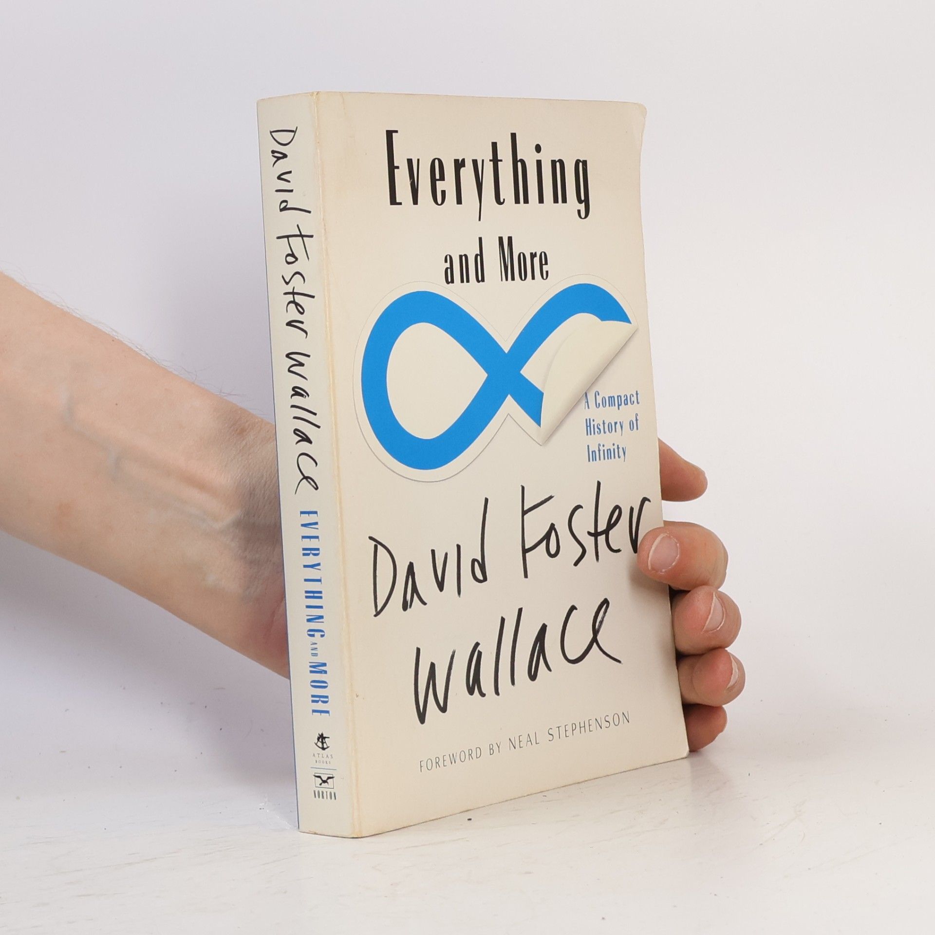 David Foster Wallace Everything and More: A Compact History of Infinity