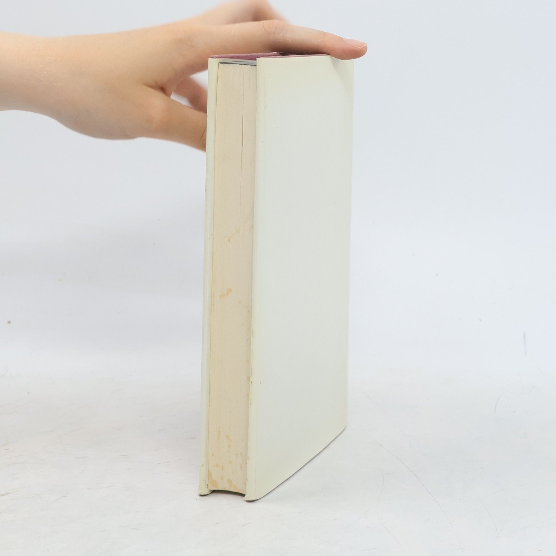 Raymond Queneau Intimes Tagebuch der Sally Mara