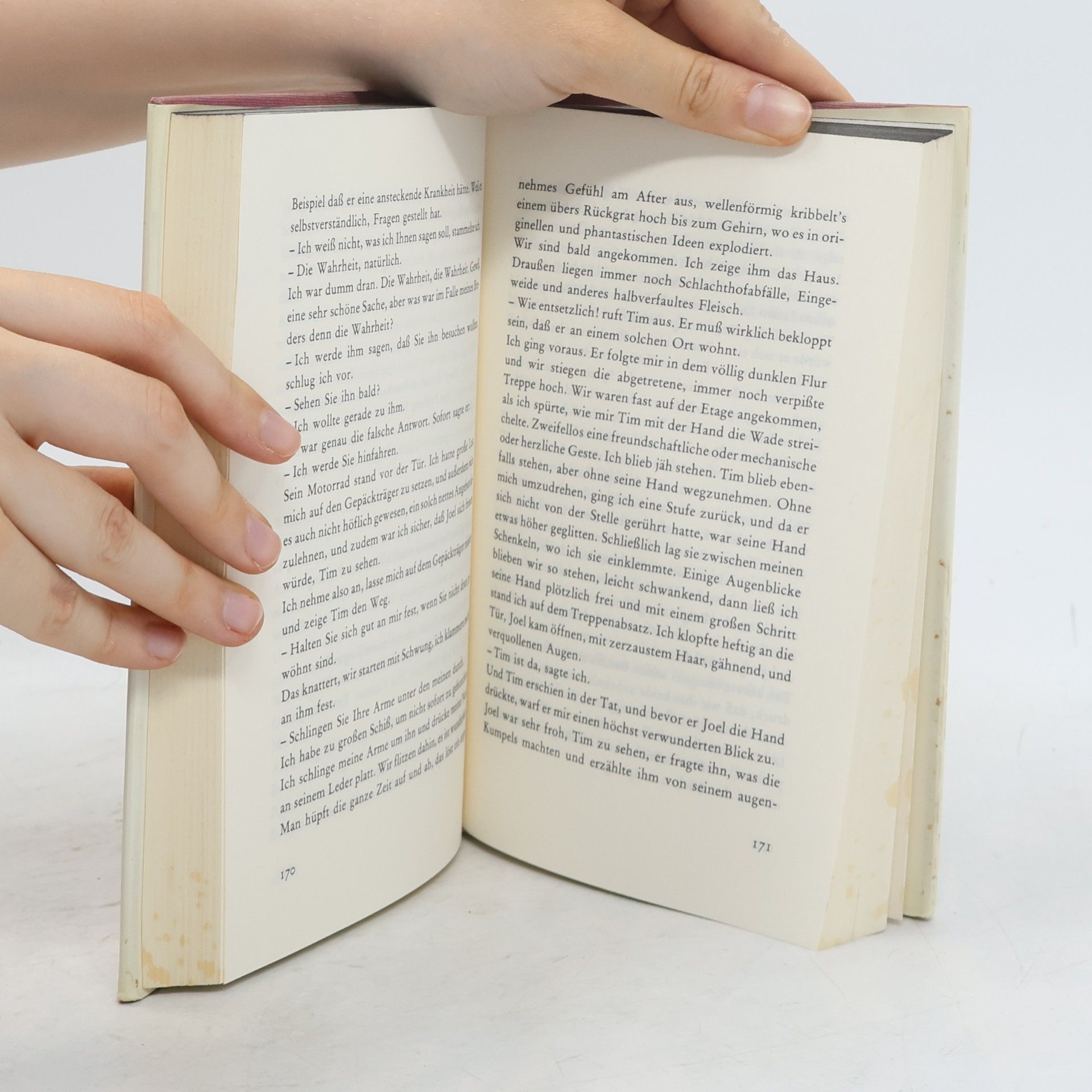 Raymond Queneau Intimes Tagebuch der Sally Mara