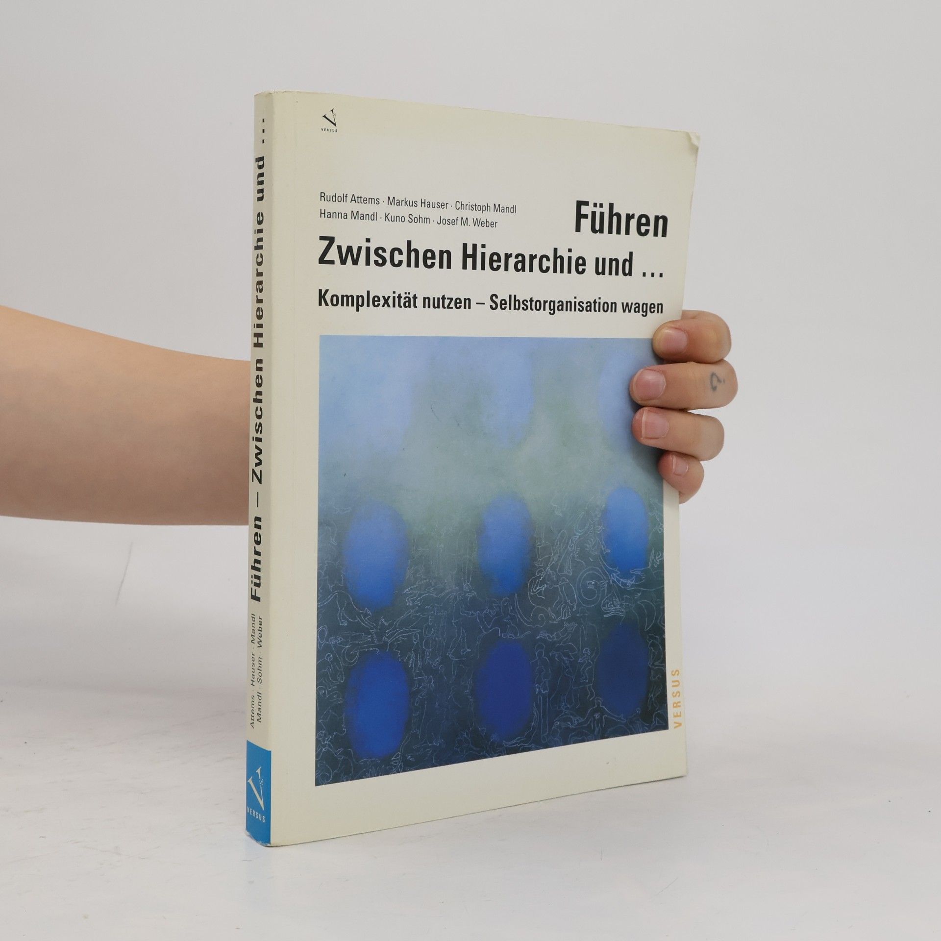 Rudolf Attems Führen - zwischen Hierarchie und ...