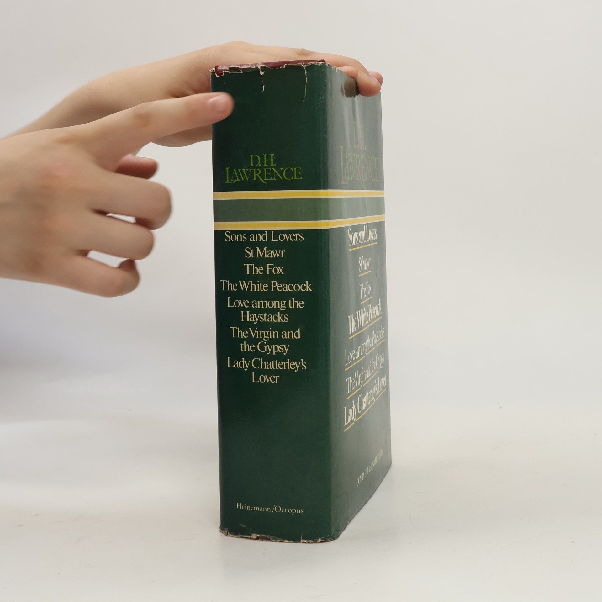 D. H. Lawrence Sons and Lovers