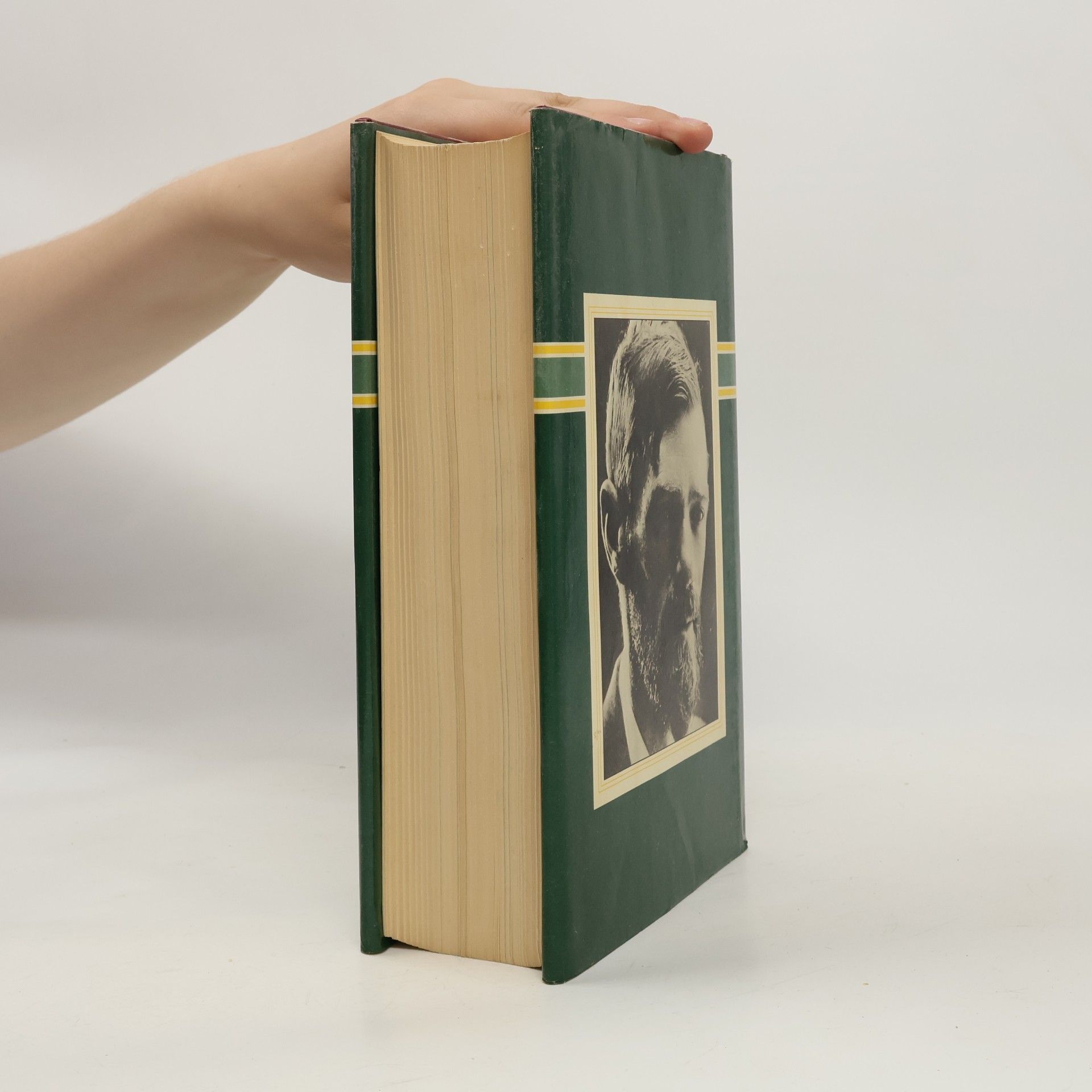 D. H. Lawrence Sons and Lovers