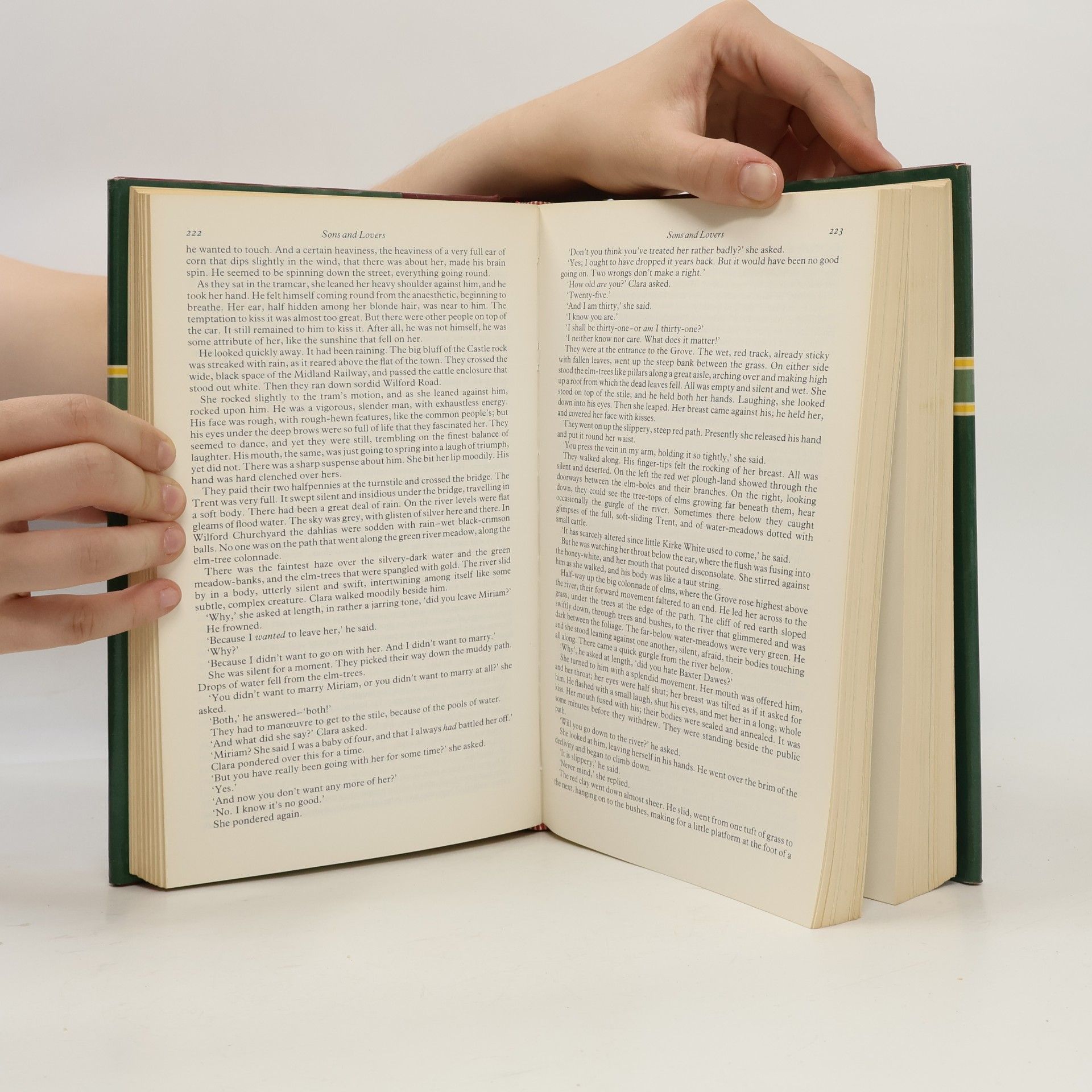 D. H. Lawrence Sons and Lovers