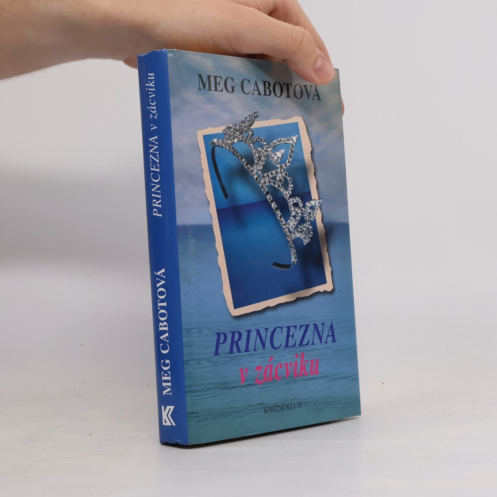 Meg Cabot Princezna v zácviku
