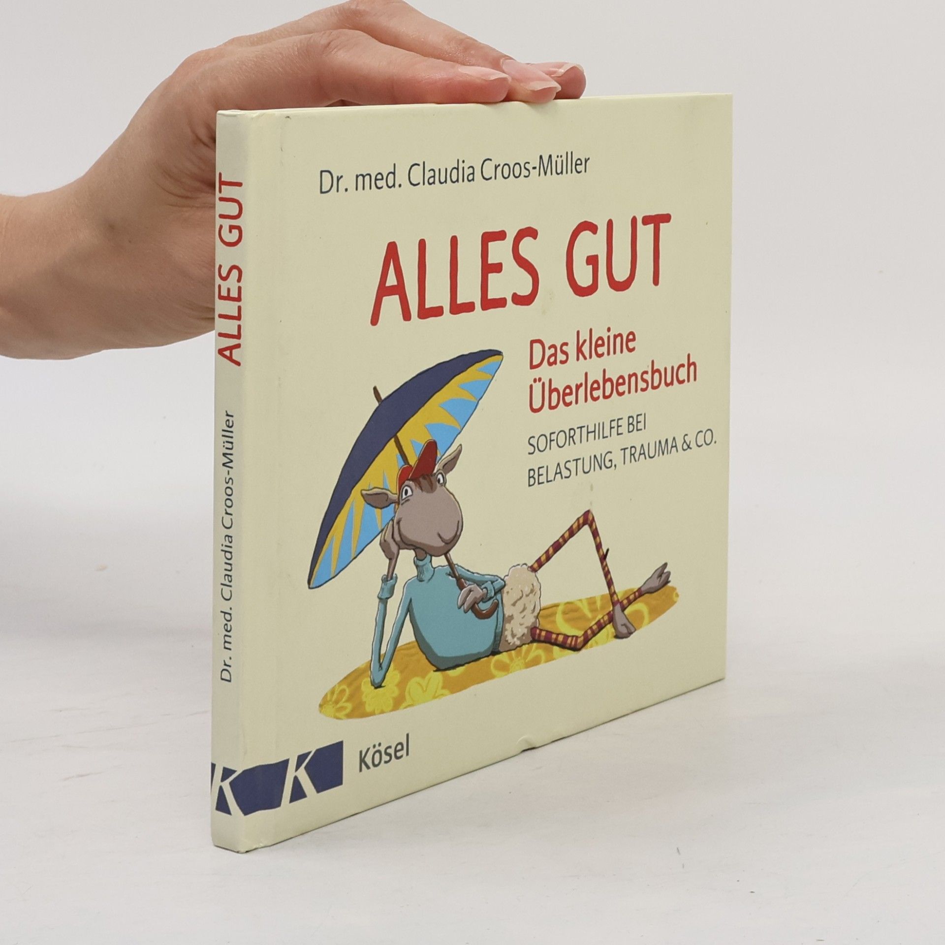 Claudia Cross-Müller Alles gut - das kleine Überlebensbuch