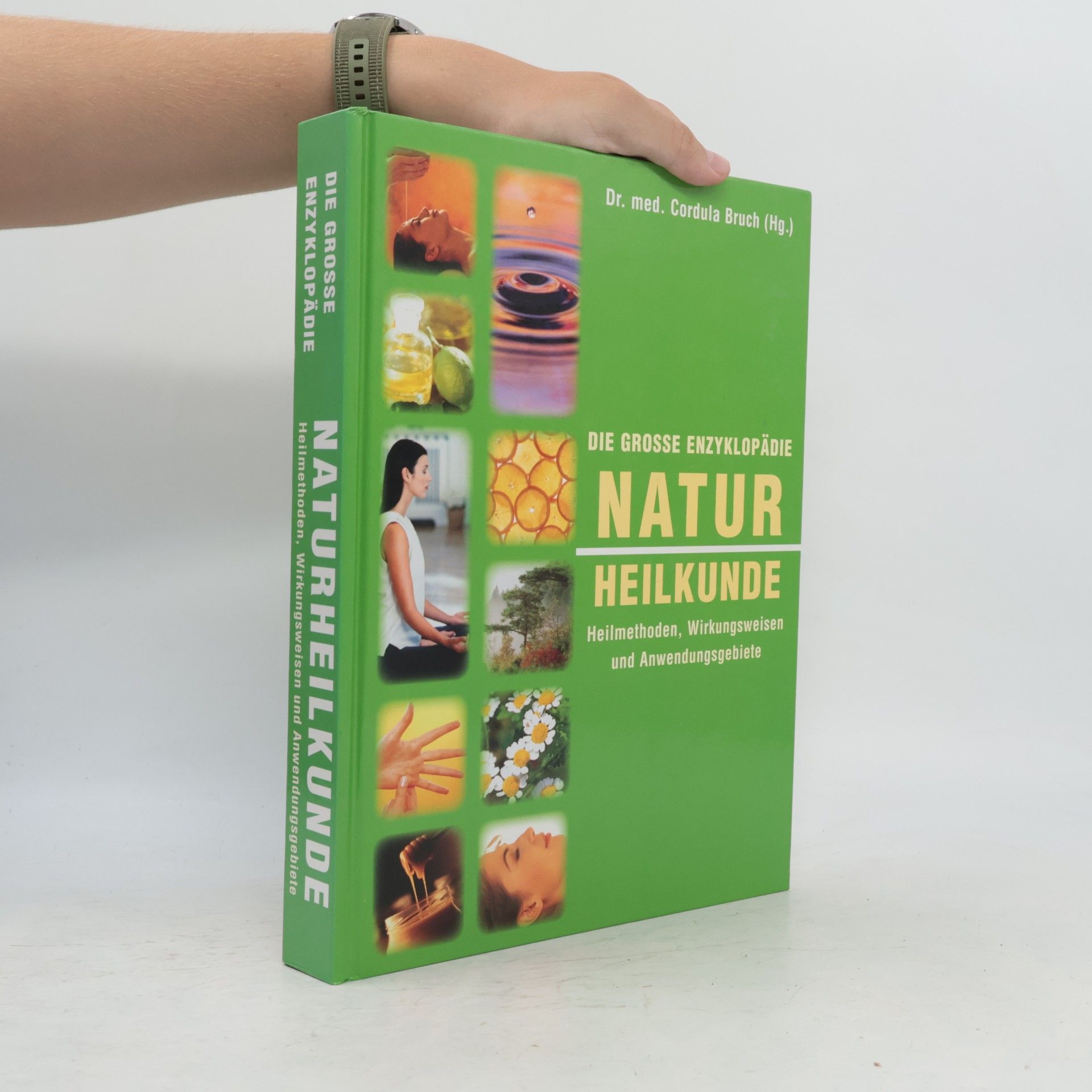 Various authors Die große Enzyklopädie Naturheilkunde: Heilmethoden, Wirkungsweisen und Anwendungsgebiete