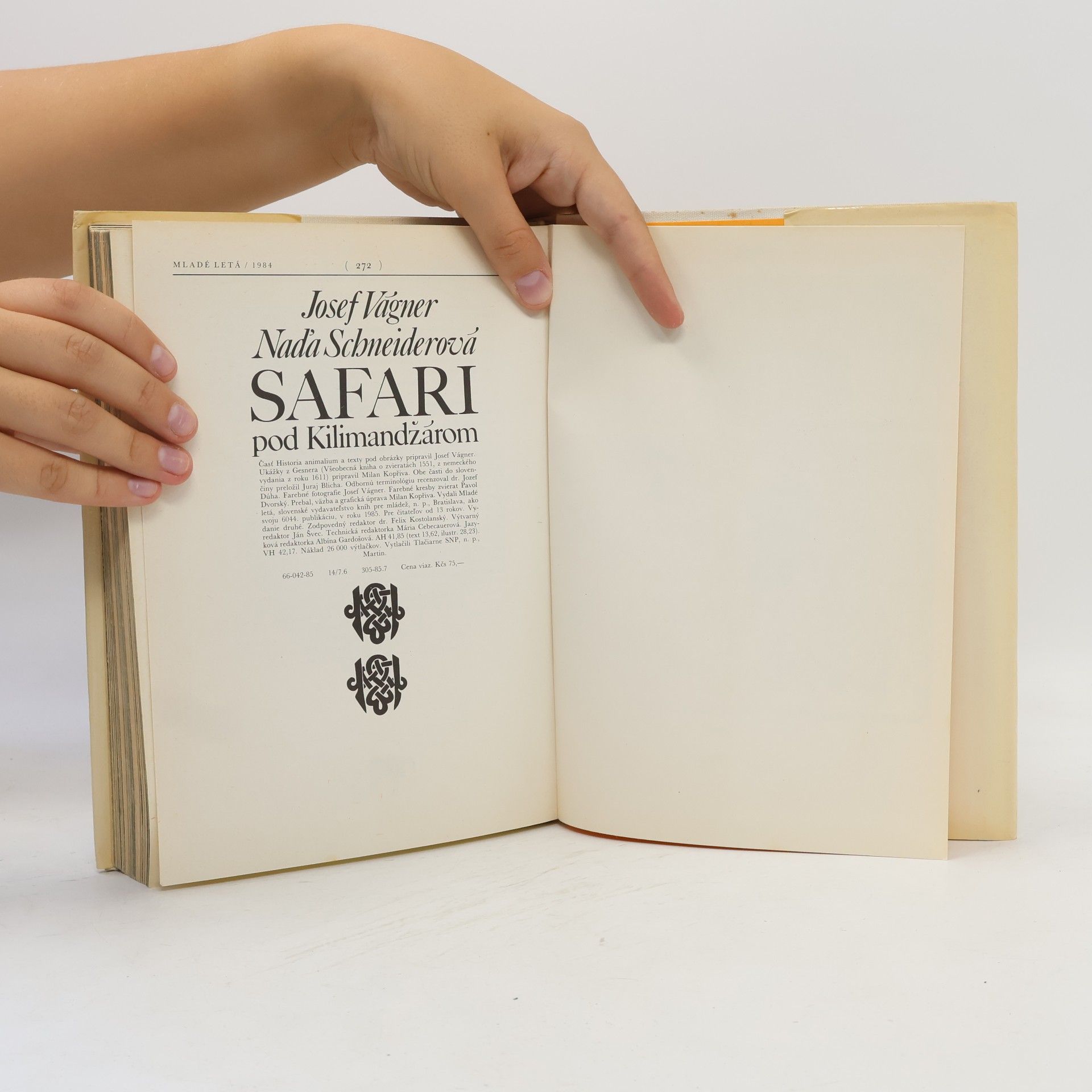 Josef Vágner Safari pod Kilimandžárom