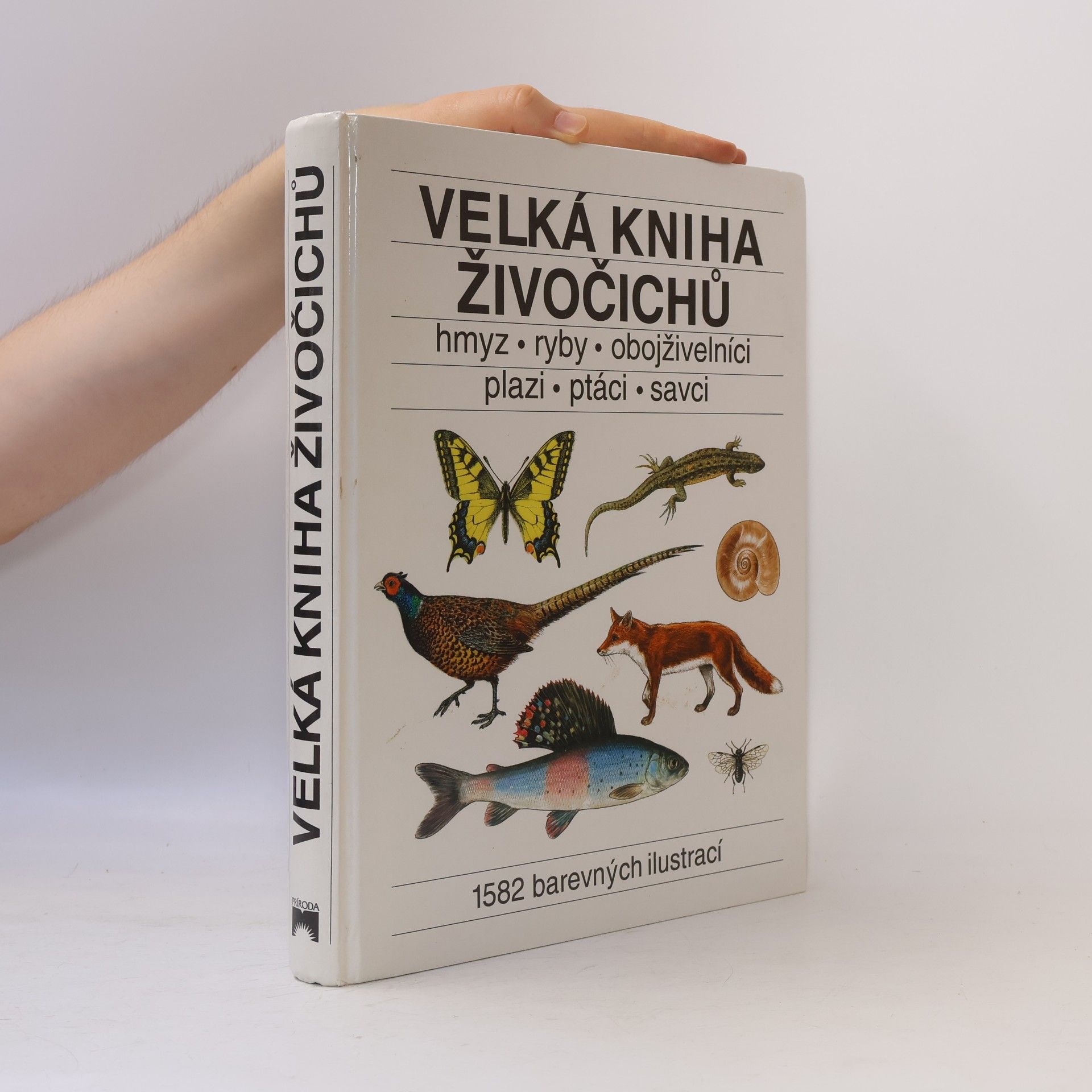 Velká kniha živočichů : hmyz, ryby, obojživelníci, plazi, ptáci, savci