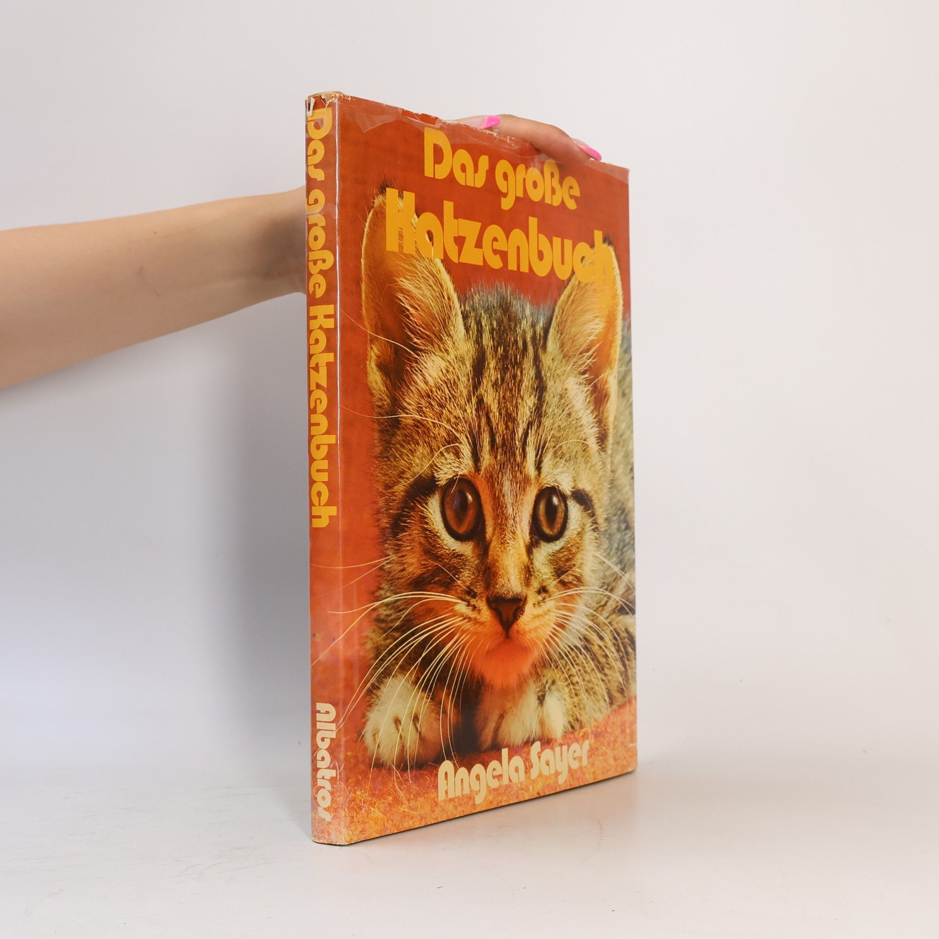 Das große Katzenbuch