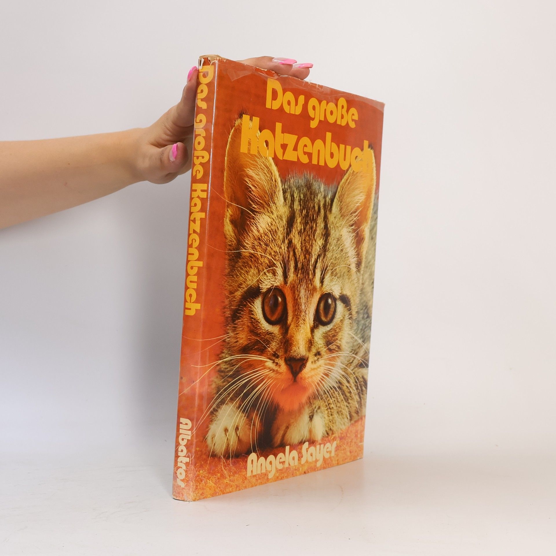 Erich Tylínek Das große Katzenbuch