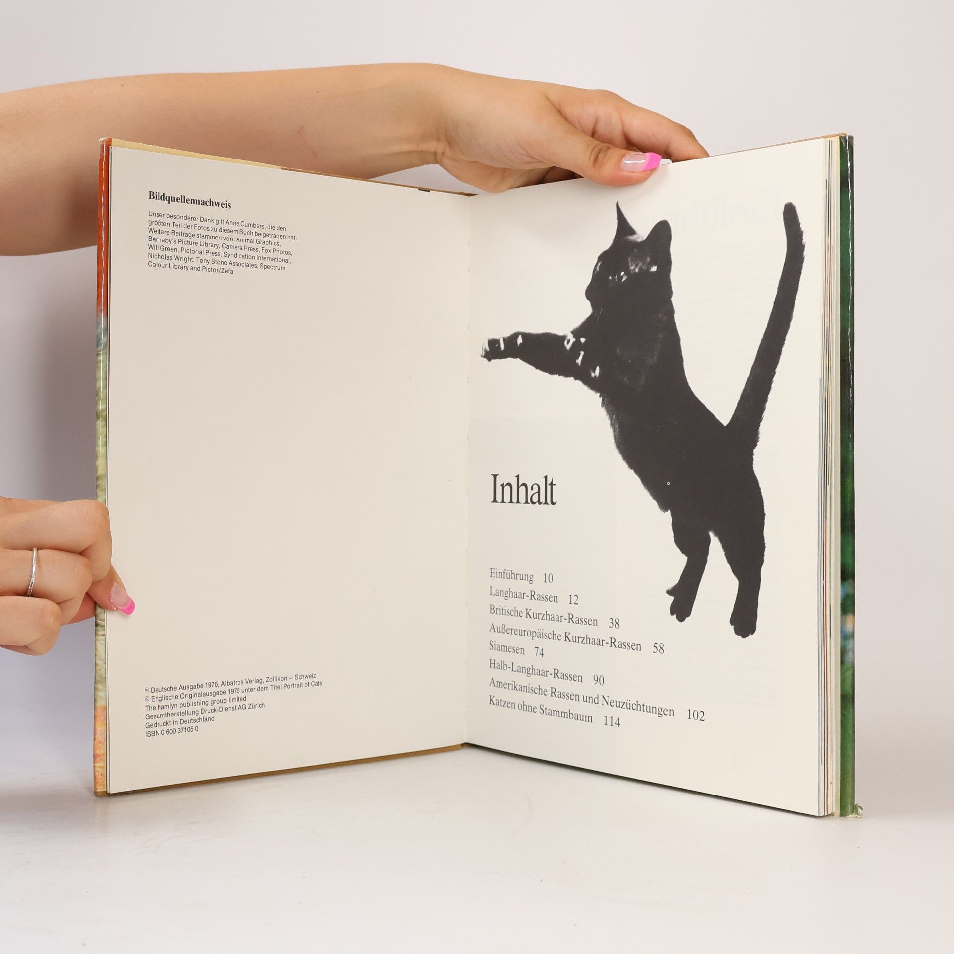 Erich Tylínek Das große Katzenbuch
