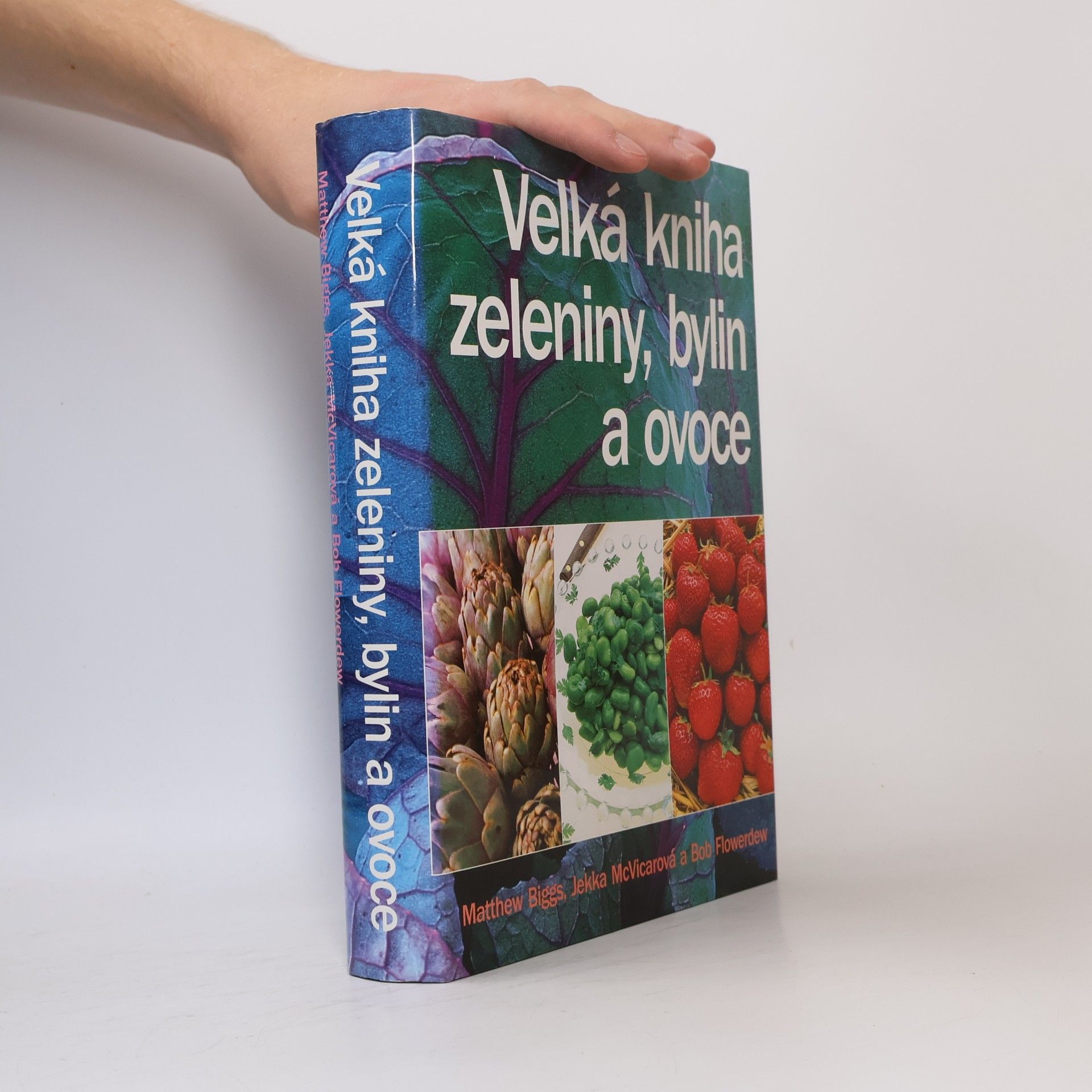 Matthew Biggs Velká kniha zeleniny, bylin a ovoce
