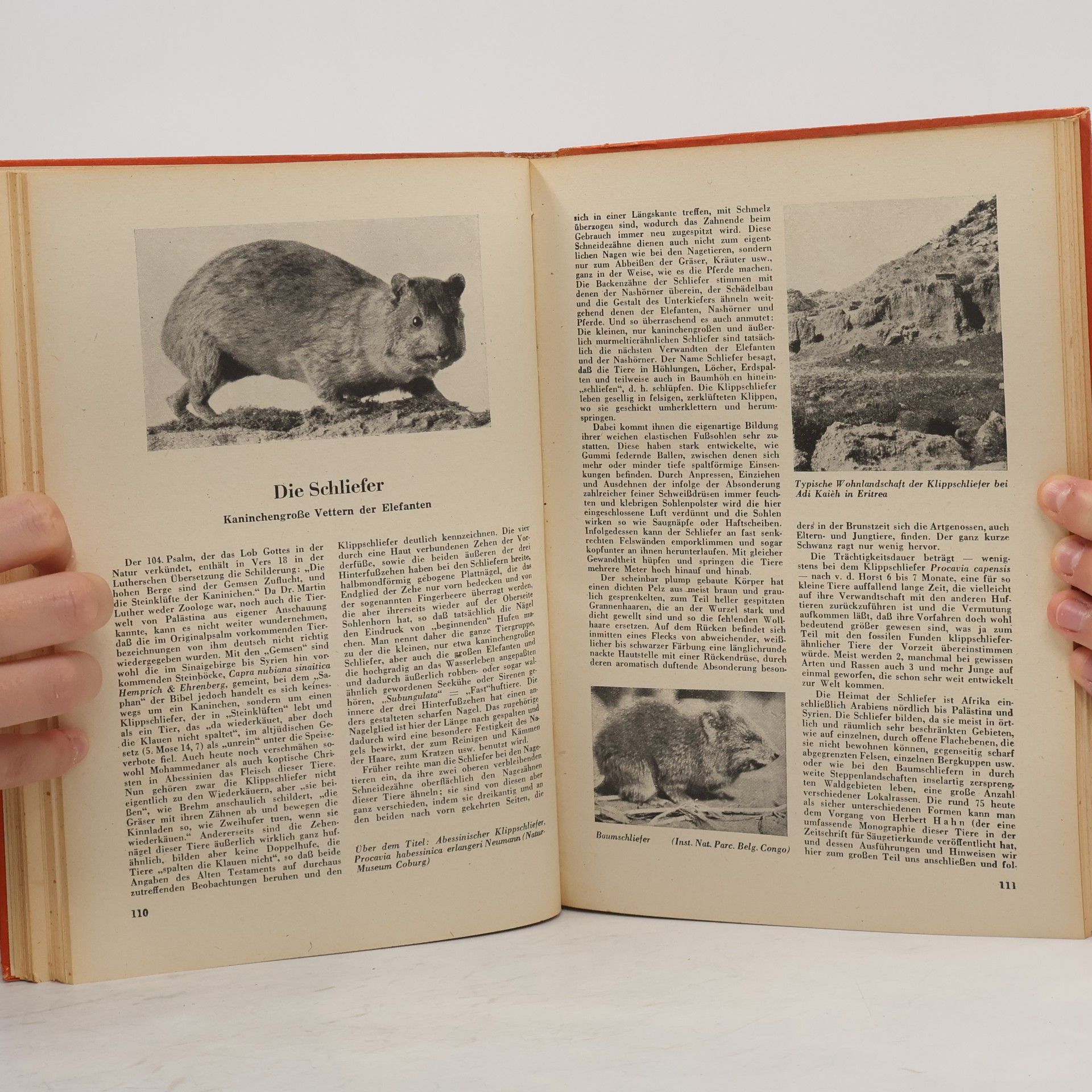 Autorenkollektiv Kosmos 1948