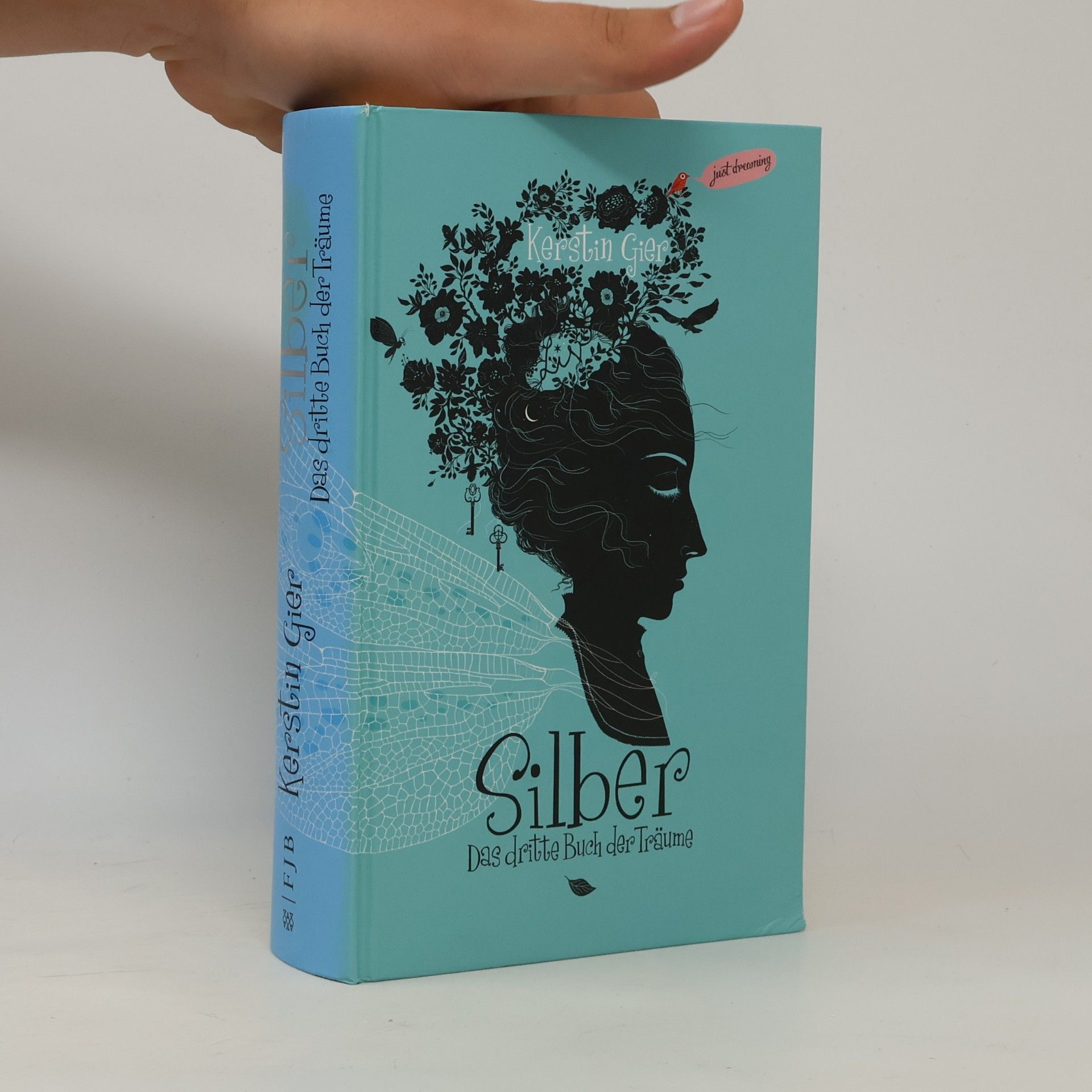 Kerstin Gier Silber. Der dritte Buch der Träume