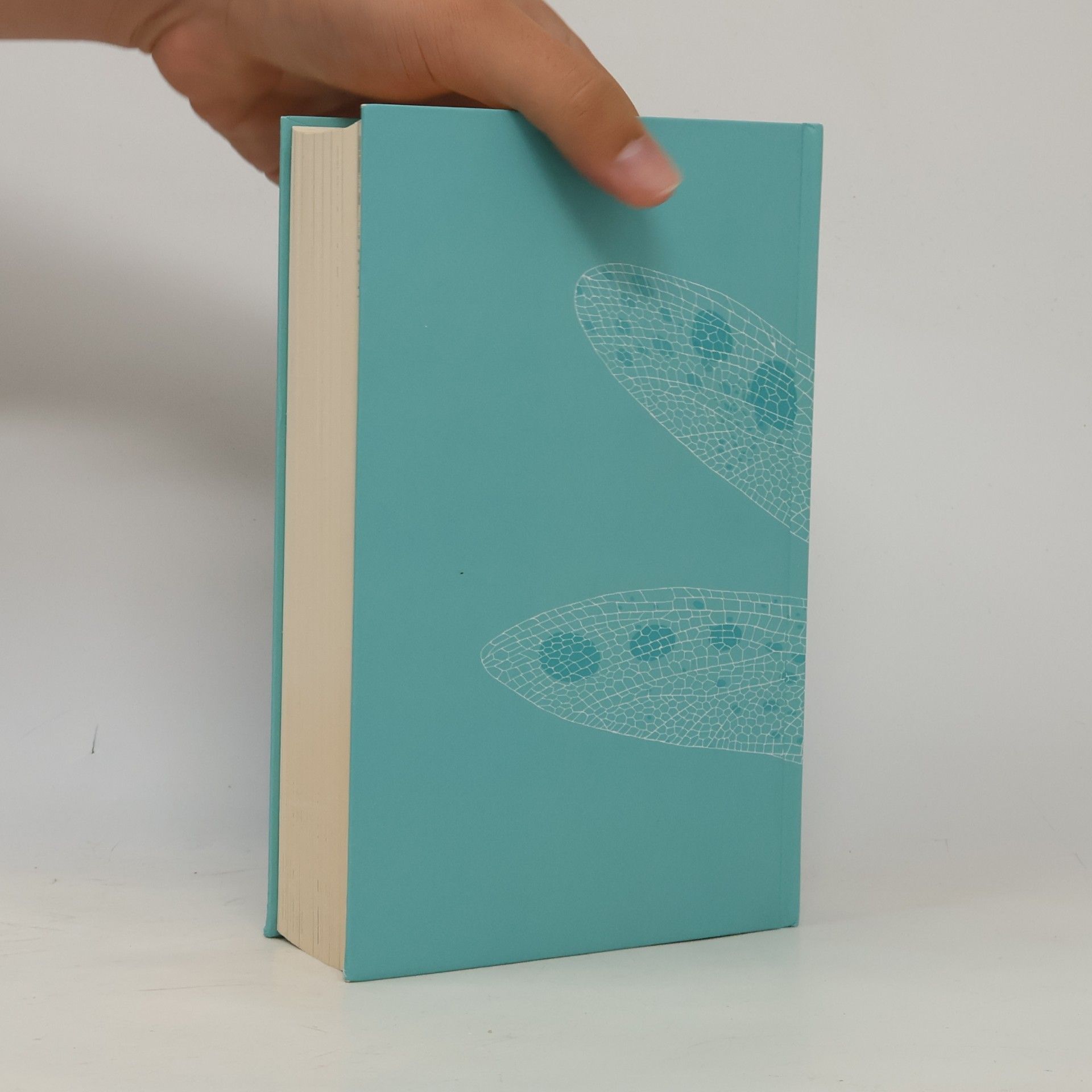 Kerstin Gier Silber. Der dritte Buch der Träume