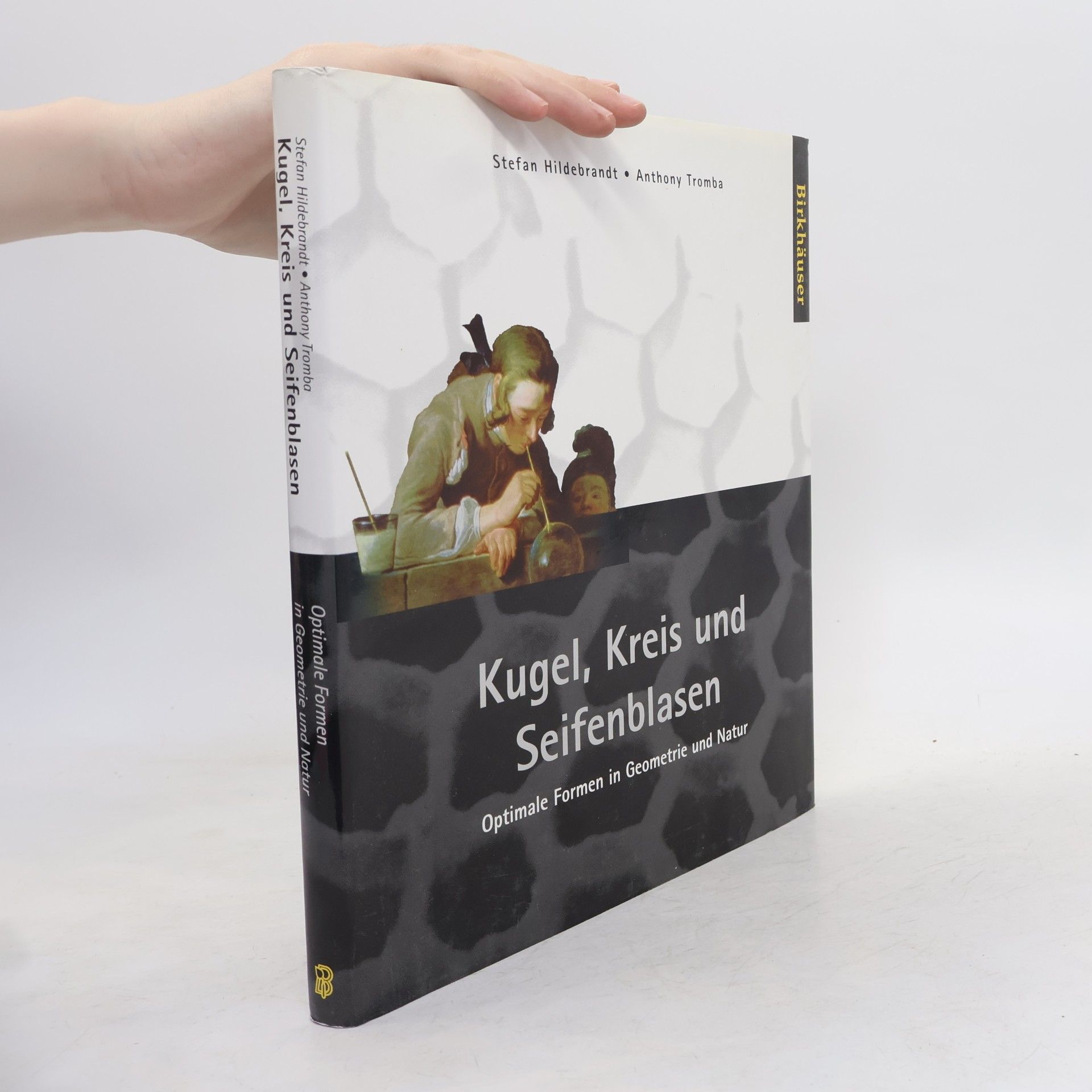 Stefan Hildebrandt Kugel, Kreis und Seifenblasen - optimale Formen in Geometrie und Natur