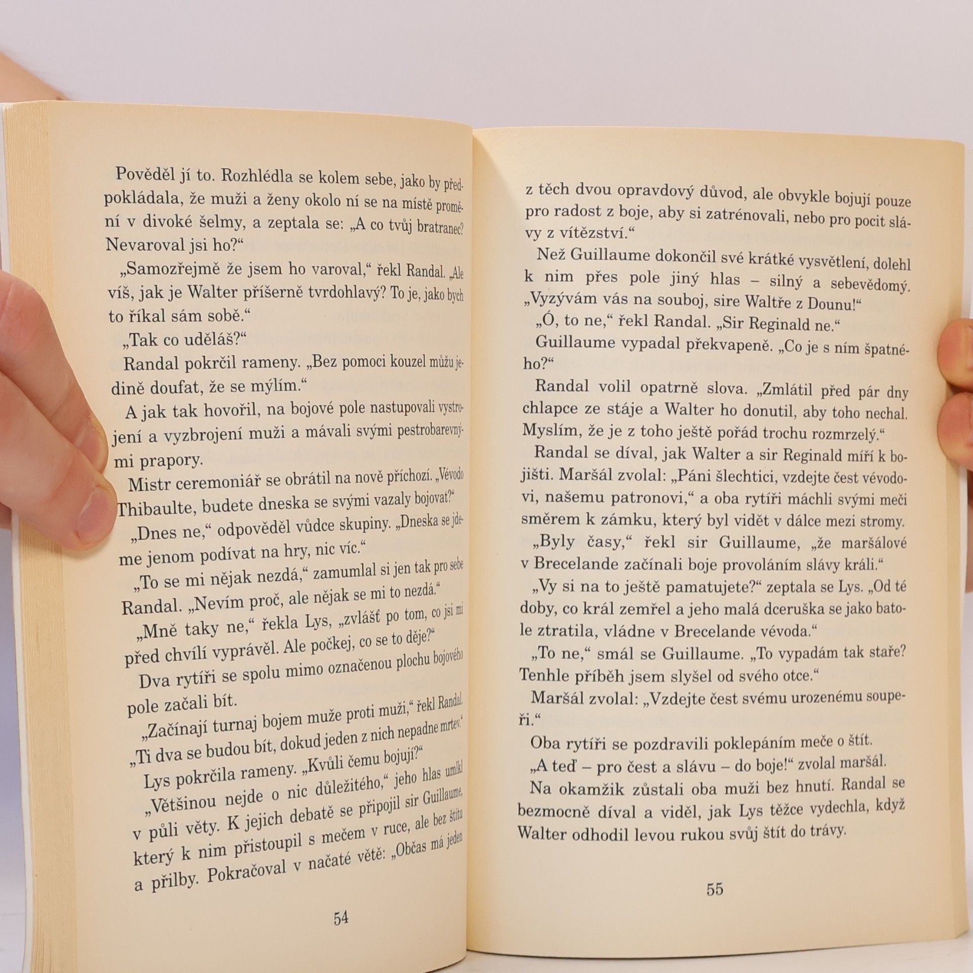 Debra Doyle Kruhy magie. Tajemná věž