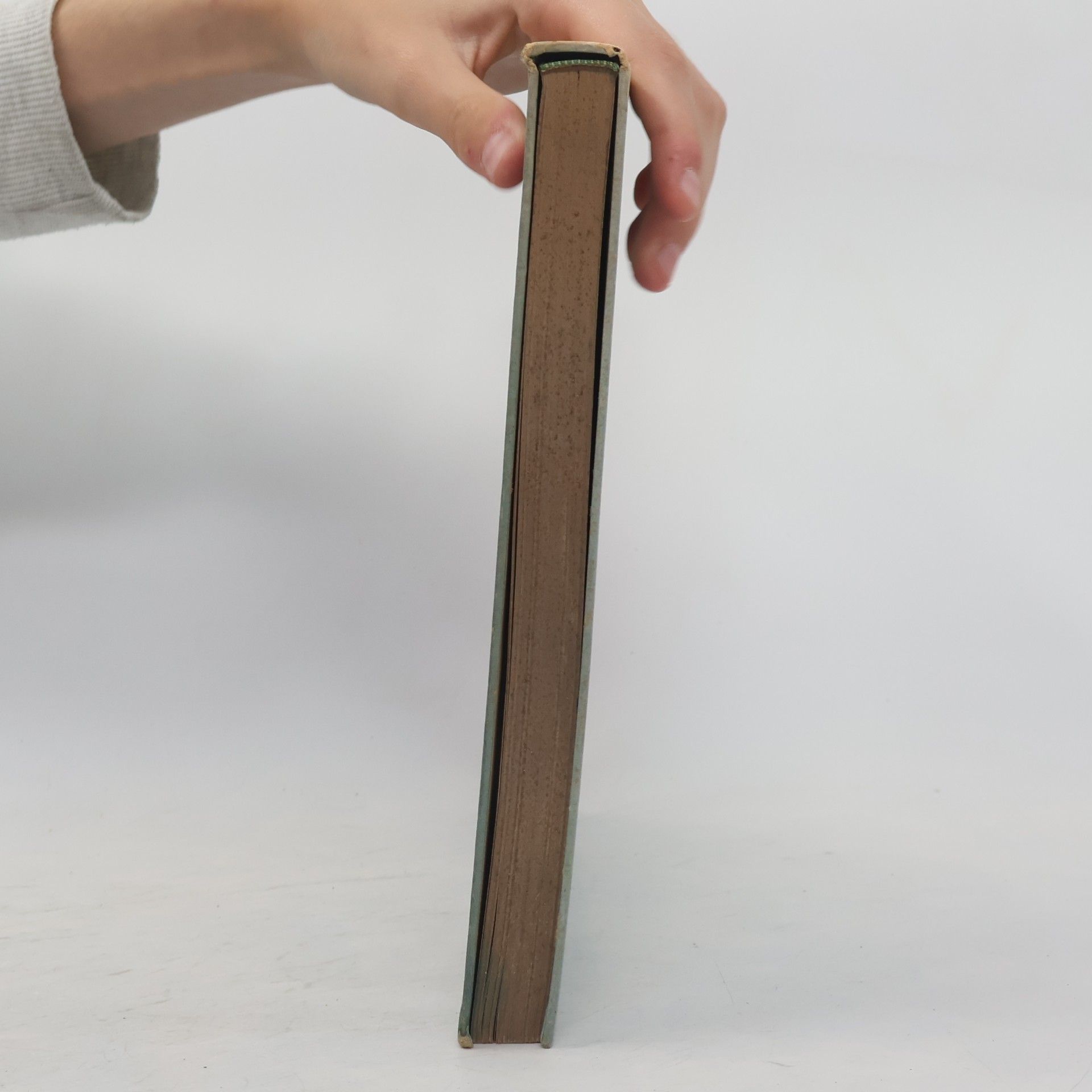 kolektiv Frankreic. Ein Bilderbuch