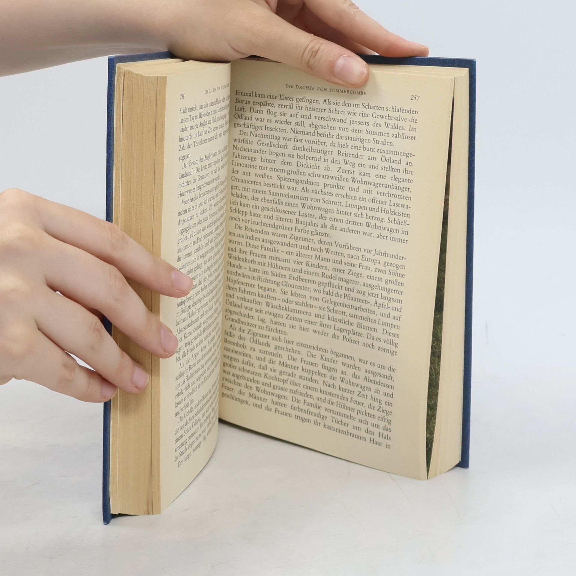 Phillip Rock Readers's Digest Auswahlbücher. Sturmwind der Zeit, Rache per ComputerNacht über dem Tal, Die Dachse von Summercombe,