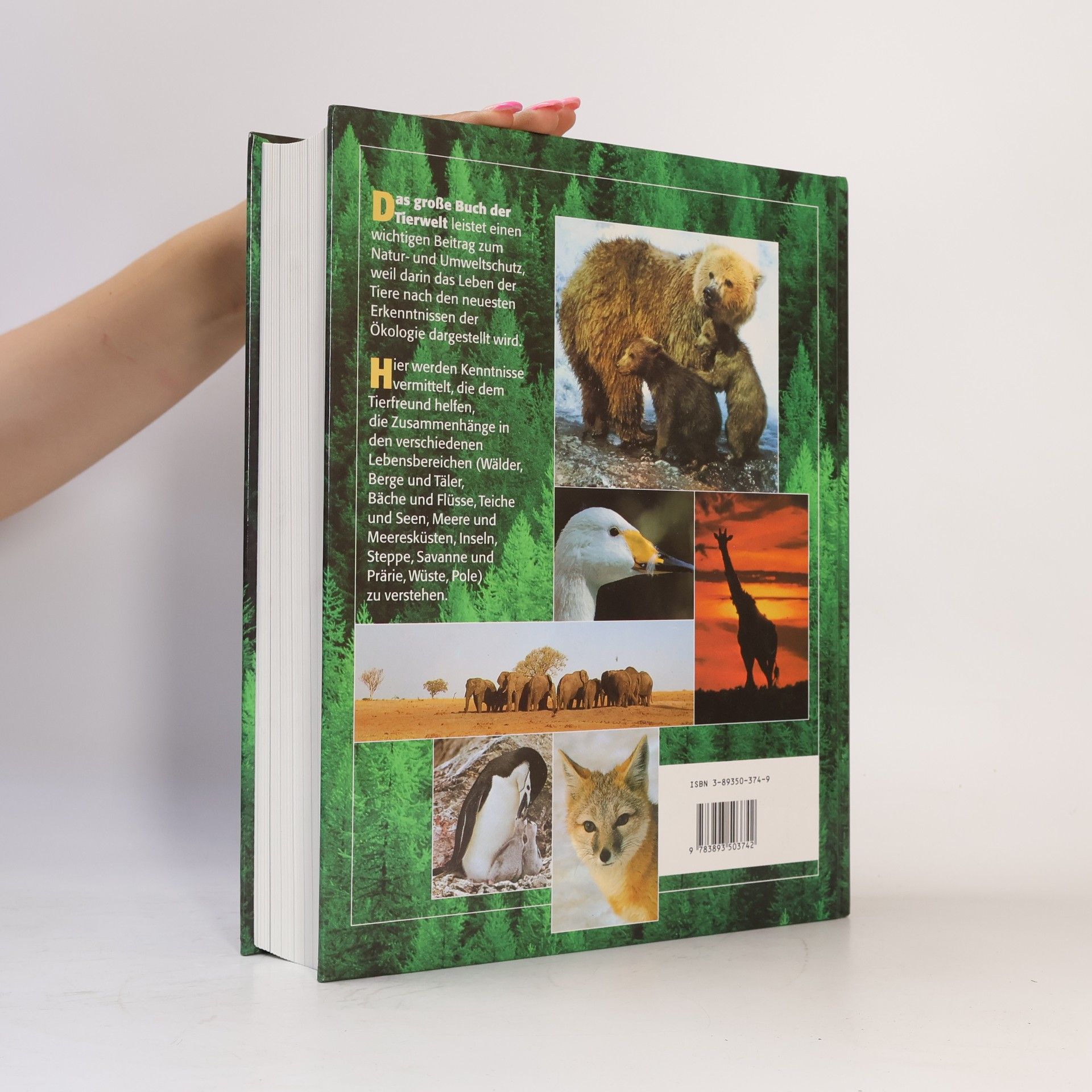 Siegfried Schmitz Das große Buch der Tierwelt. Der farbige Naturführer durch alle Kontinente