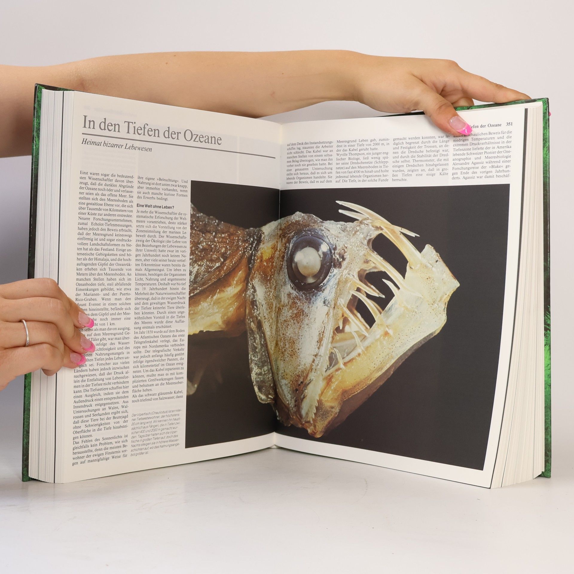 Siegfried Schmitz Das große Buch der Tierwelt. Der farbige Naturführer durch alle Kontinente