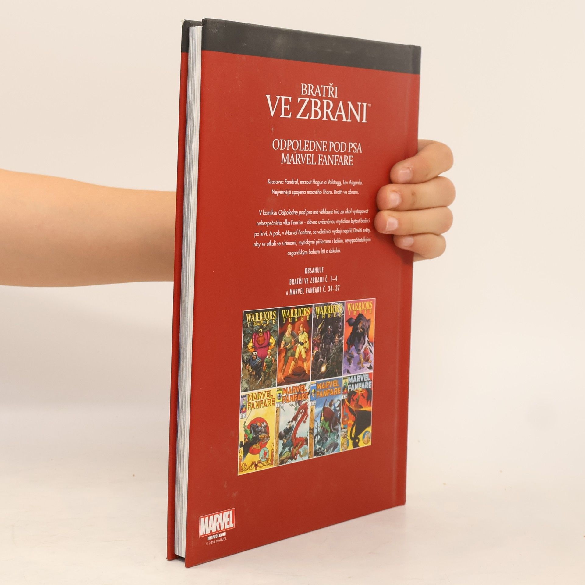 Bill Willingham Nejmocnější hrdinové Marvelu 9. Bratři ve zbrani