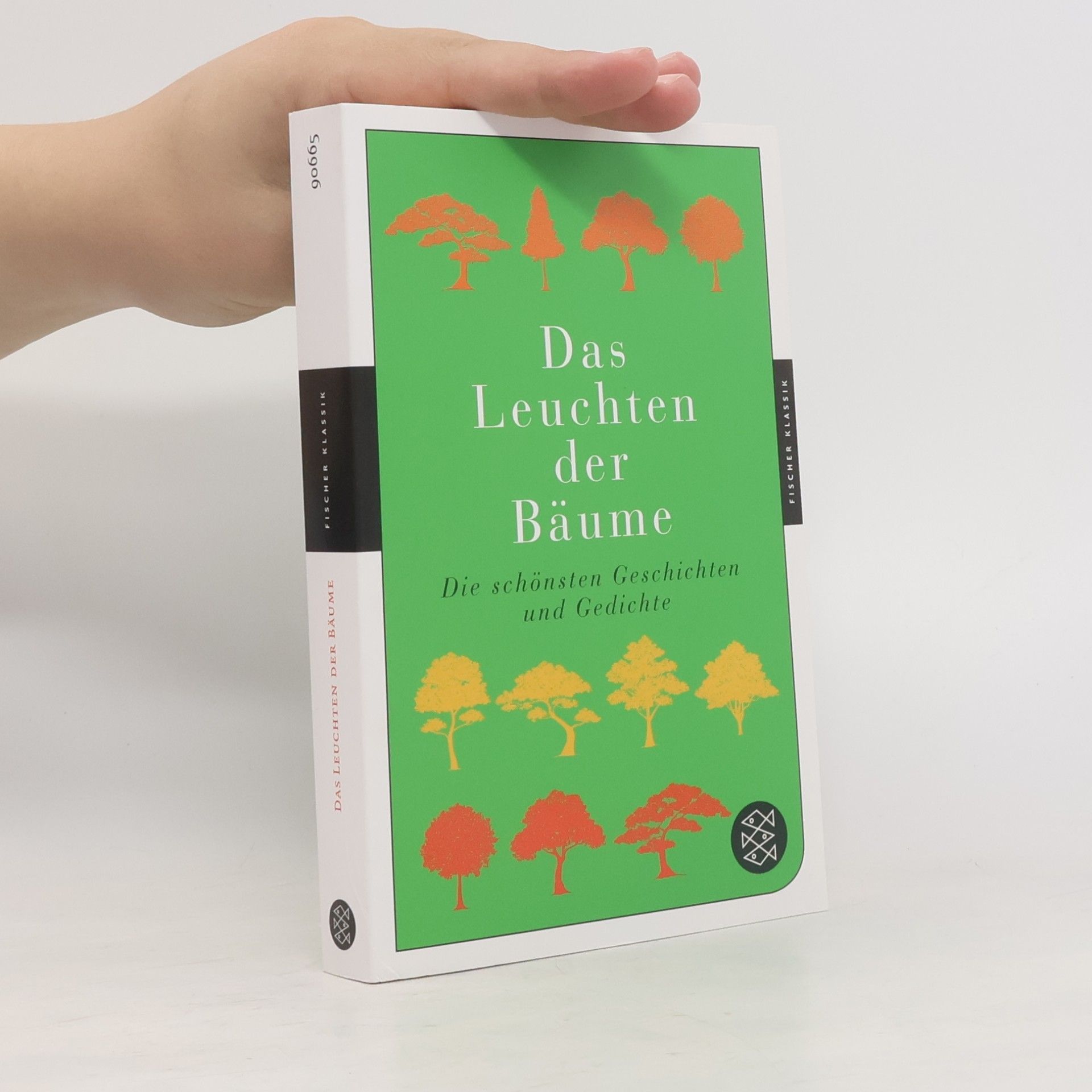 Lucas Walter Das Leuchten der Bäume