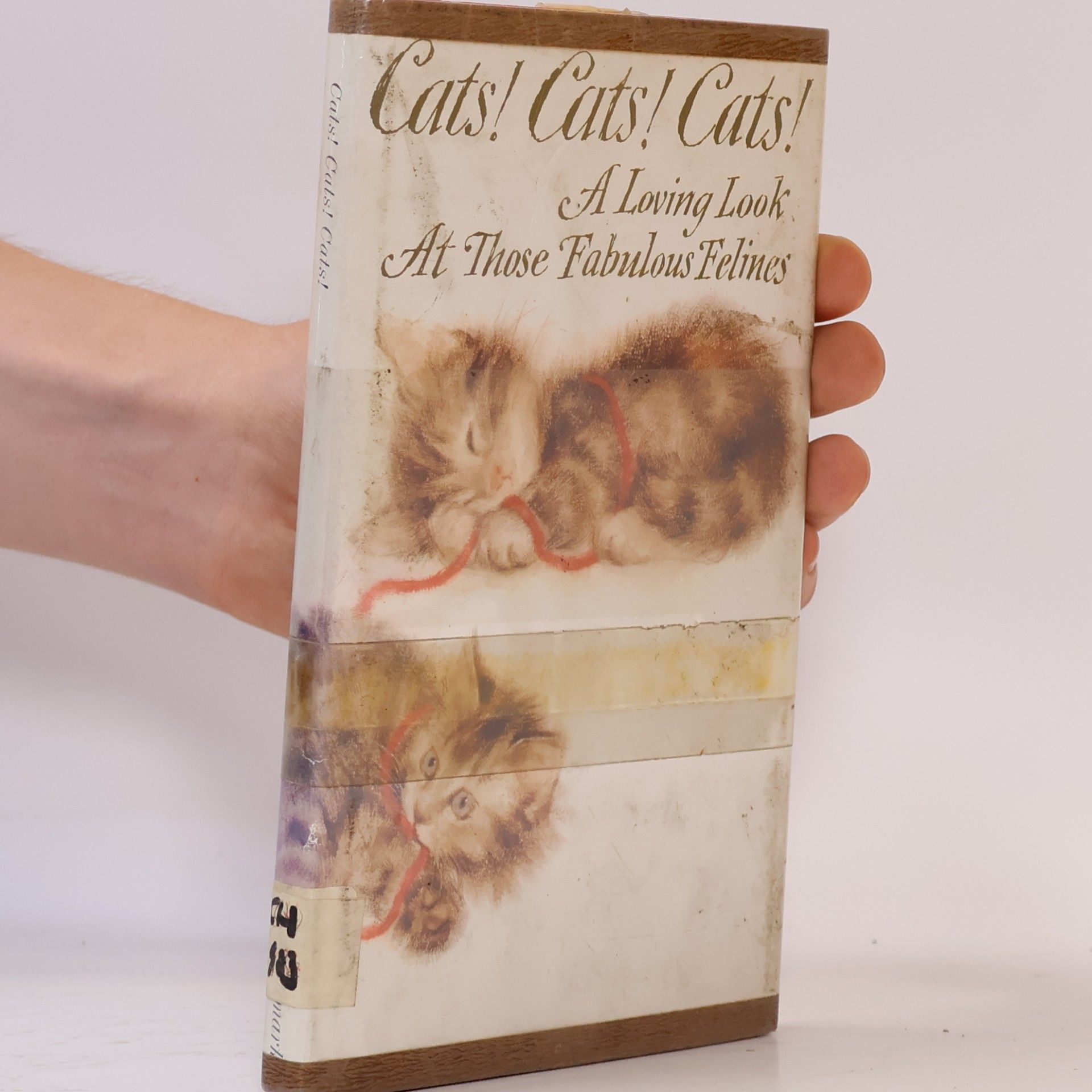 Mary Loberg Walley Cats! Cats! Cats!