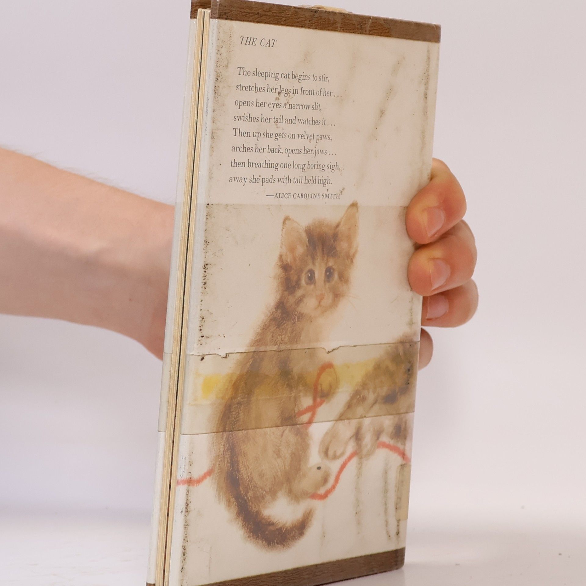 Mary Loberg Walley Cats! Cats! Cats!