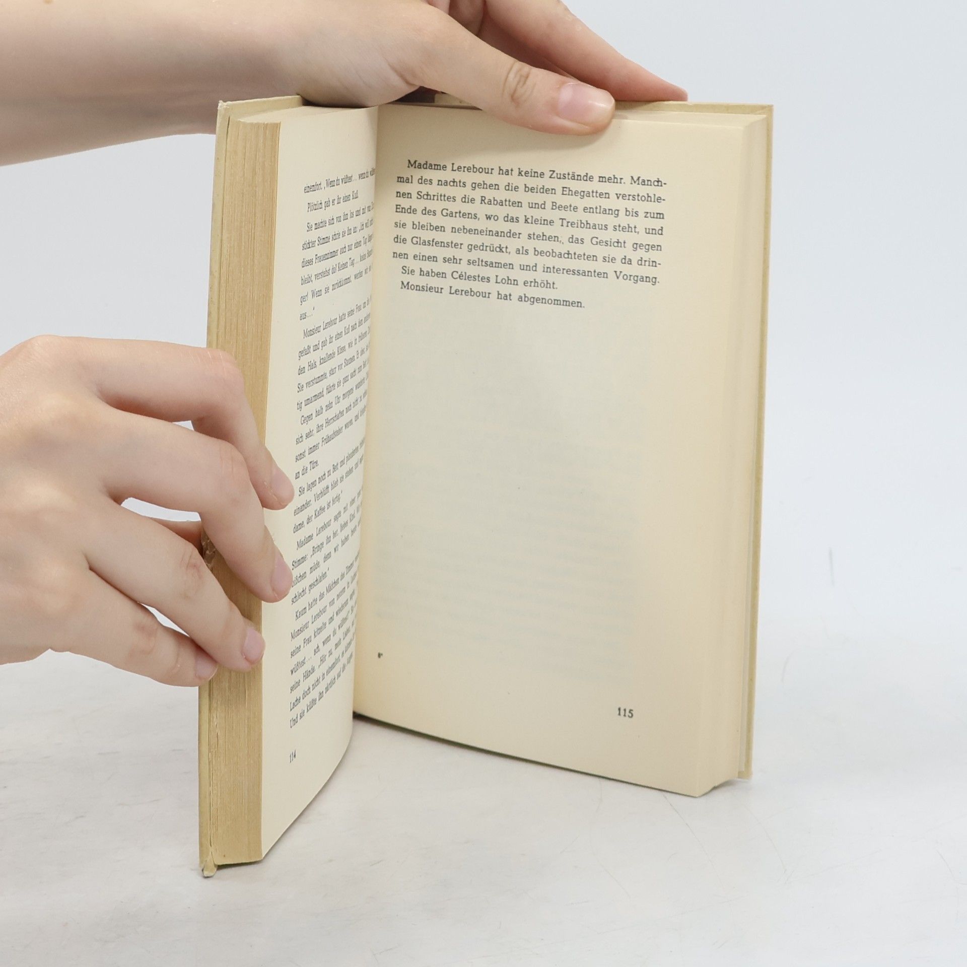 Guy de Maupassant Liebe ist Anders