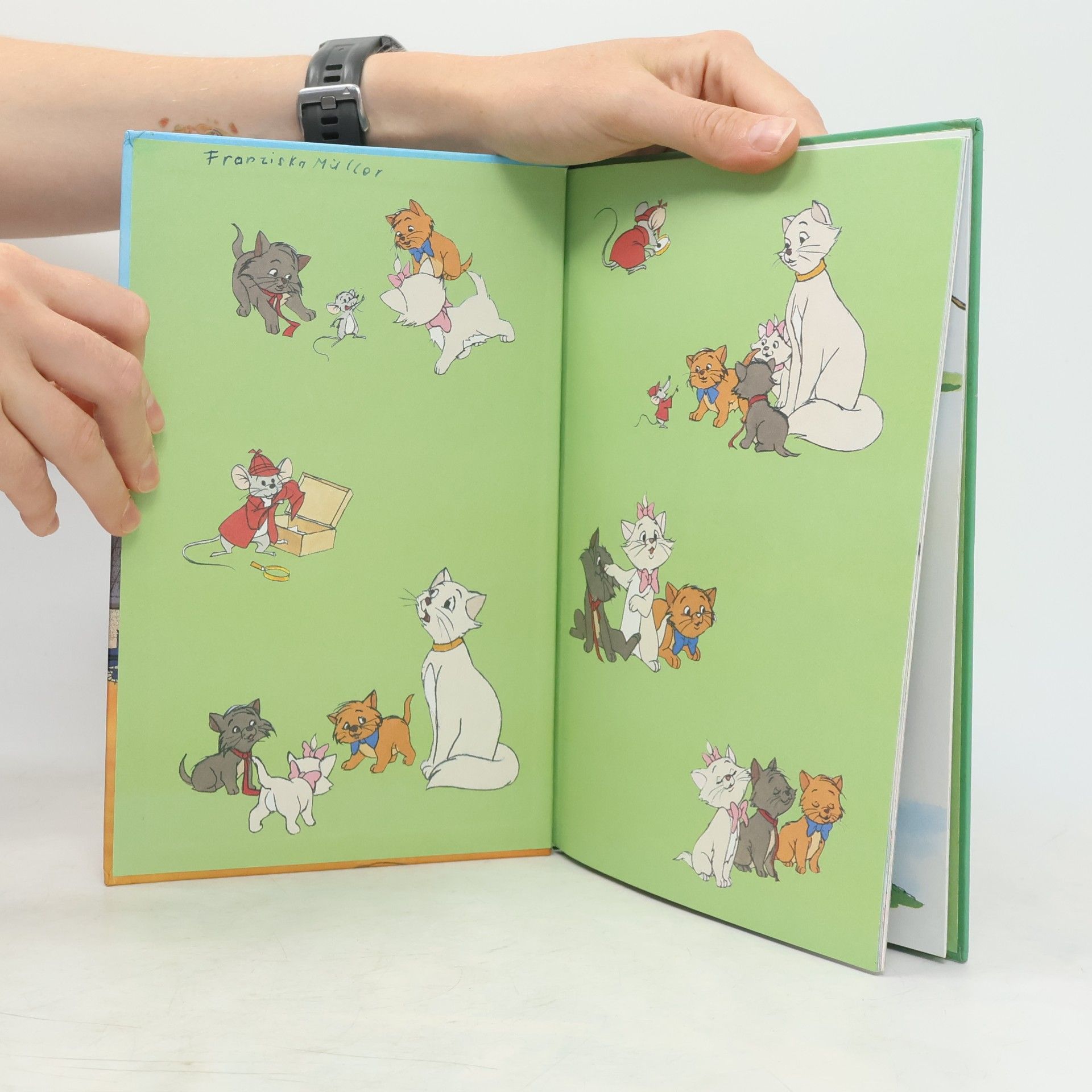 Kolektiv autorů Die Aristocats und die verschwundene Halskette