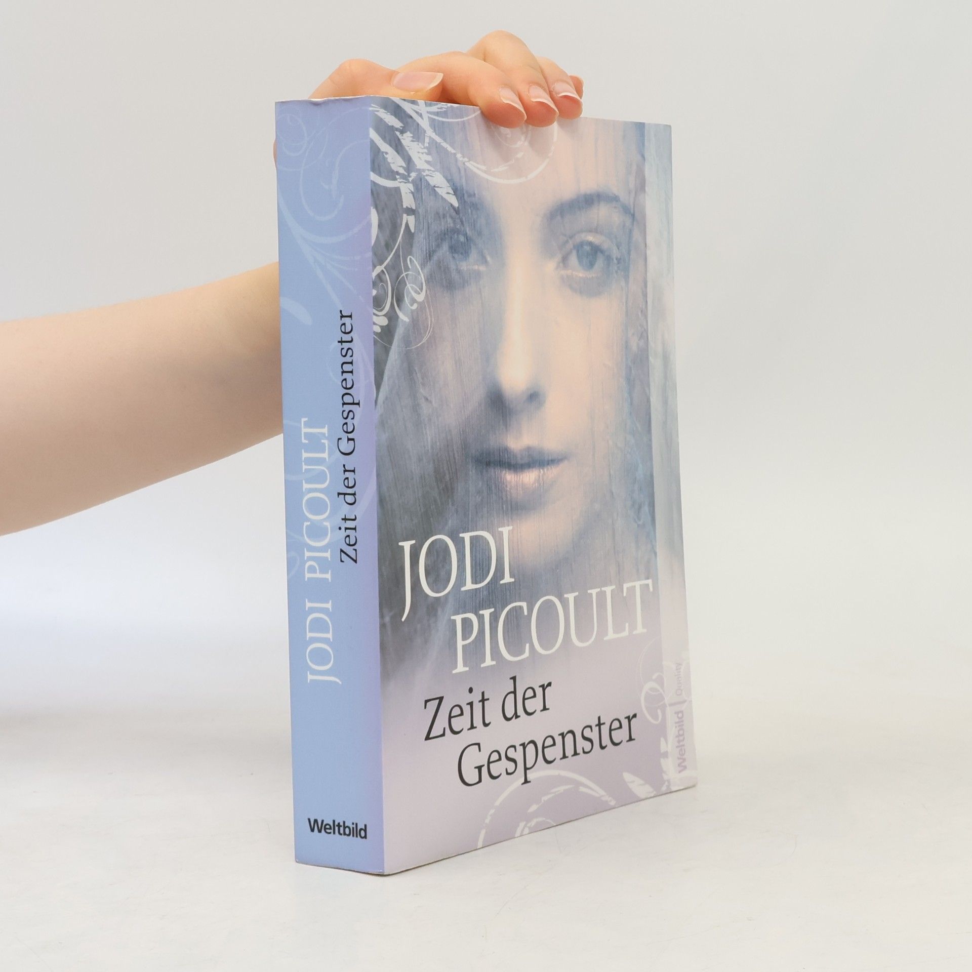 Jodi Picoult Zeit der Gespenster