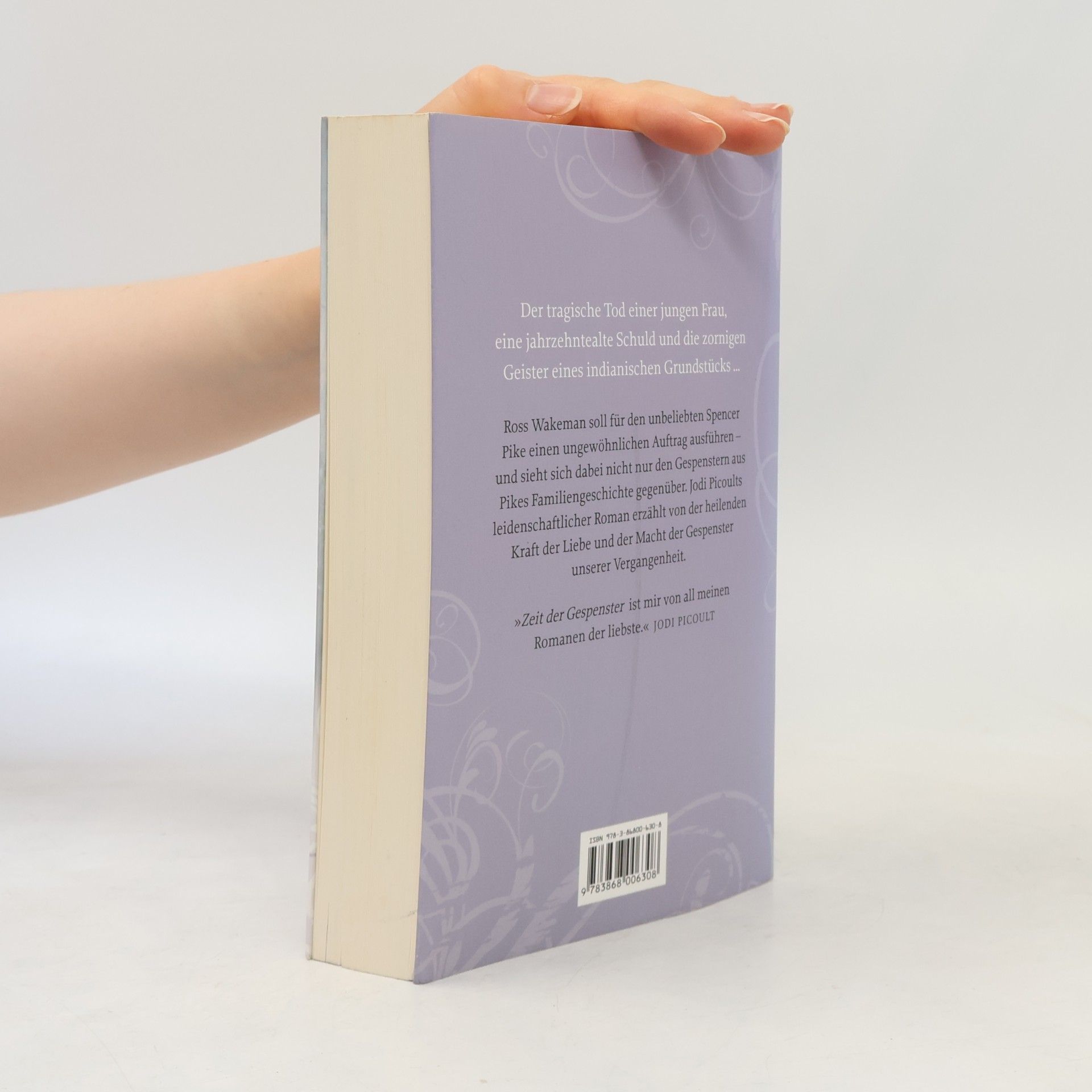 Jodi Picoult Zeit der Gespenster